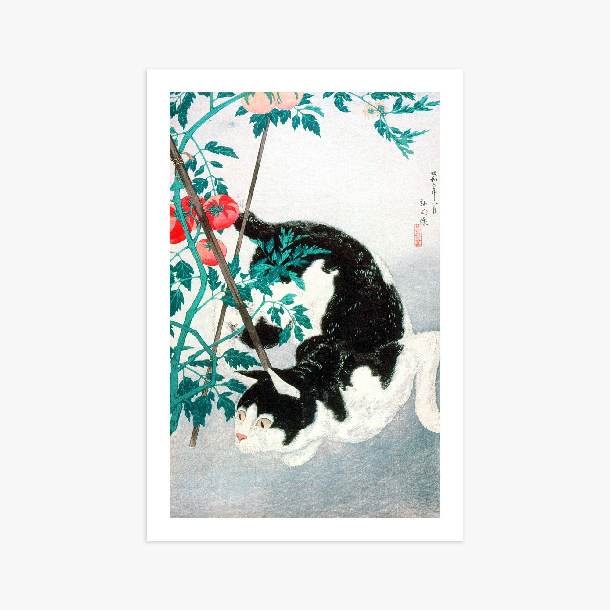 Takahashi Hiroaki (Shōtei): Cat with Tomato Plant, 61x91cm Art Reproduction Unframed