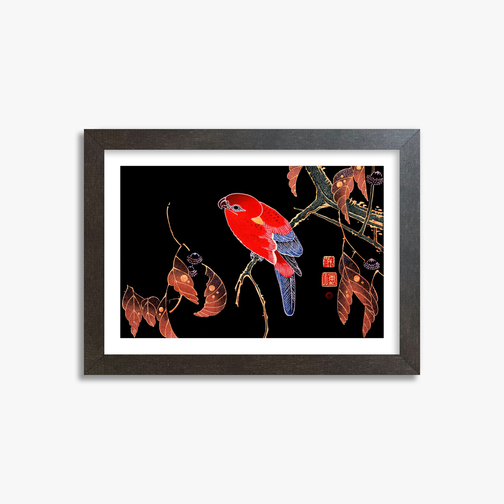 Ito Jakuchu: Red Parrot on the Branch of a Tree, 21x30cm Framed Art Reproduction With Espresso Frame