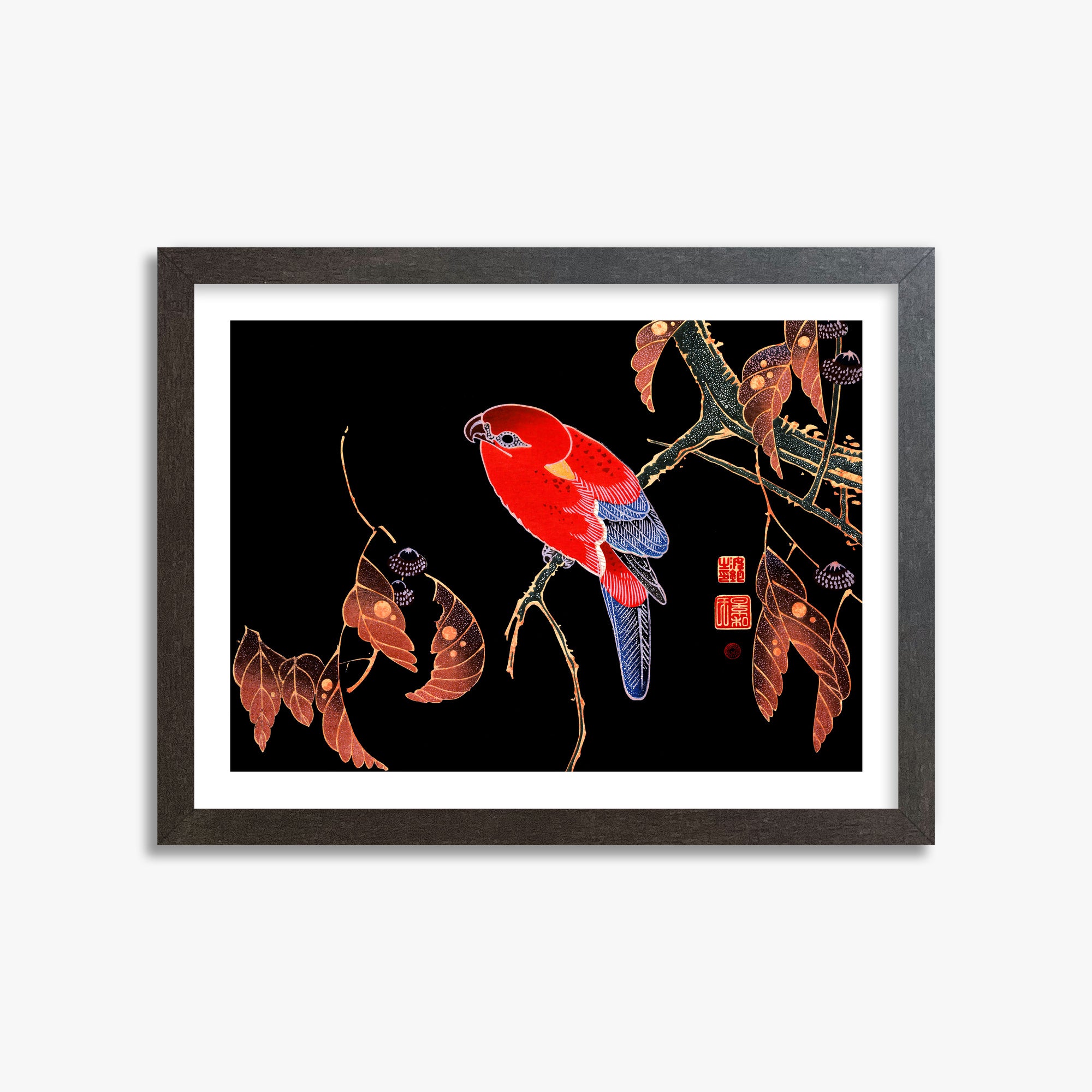 Ito Jakuchu: Red Parrot on the Branch of a Tree, 30x40cm Framed Art Reproduction With Espresso Frame