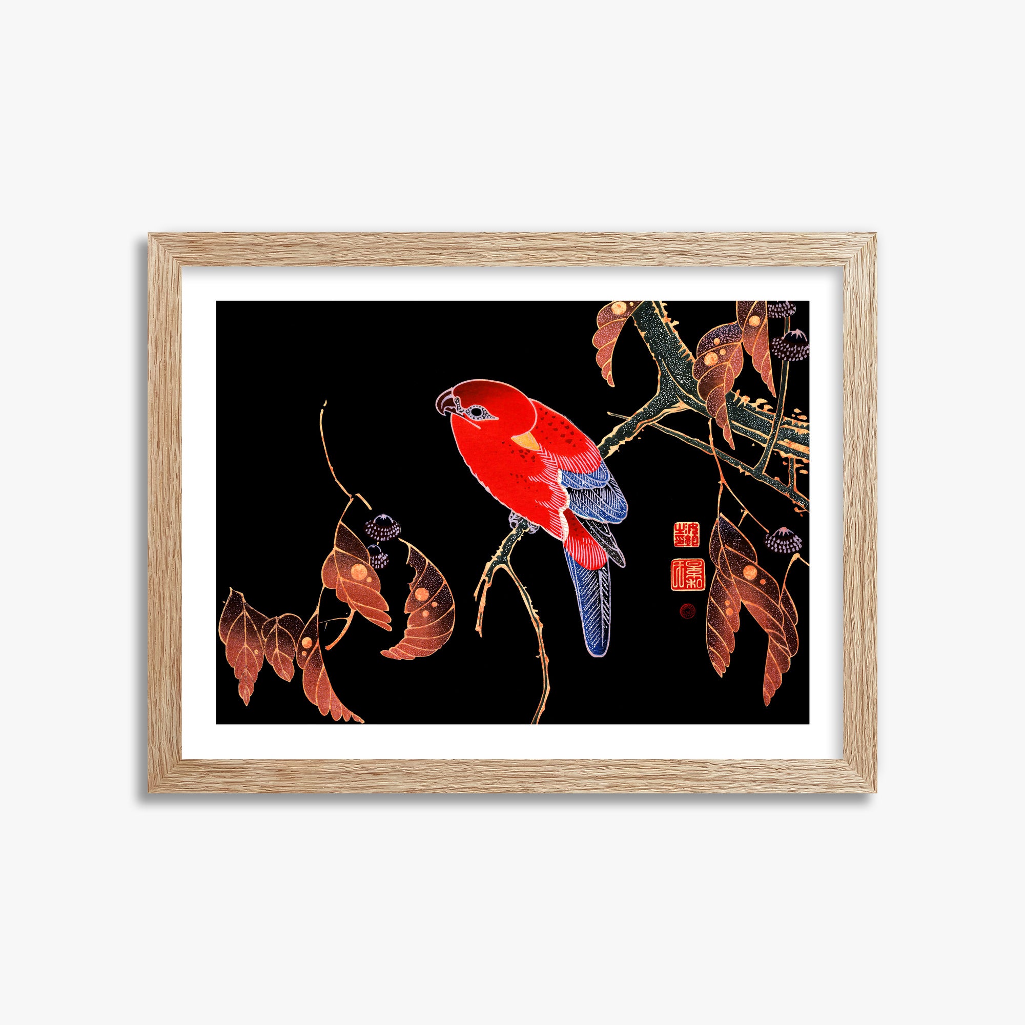 Ito Jakuchu: Red Parrot on the Branch of a Tree, 30x40cm Framed Art Reproduction With Raw Oak Frame