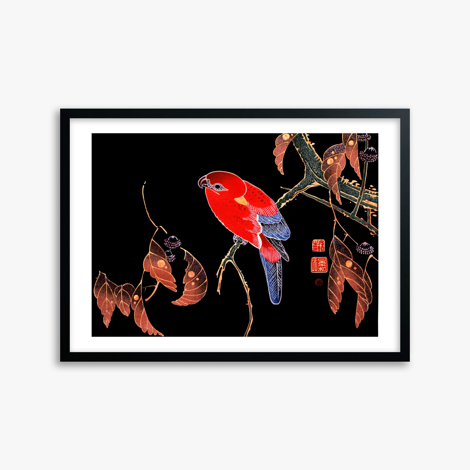Ito Jakuchu: Red Parrot on the Branch of a Tree, 50x70cm Framed Art Reproduction With Black Frame