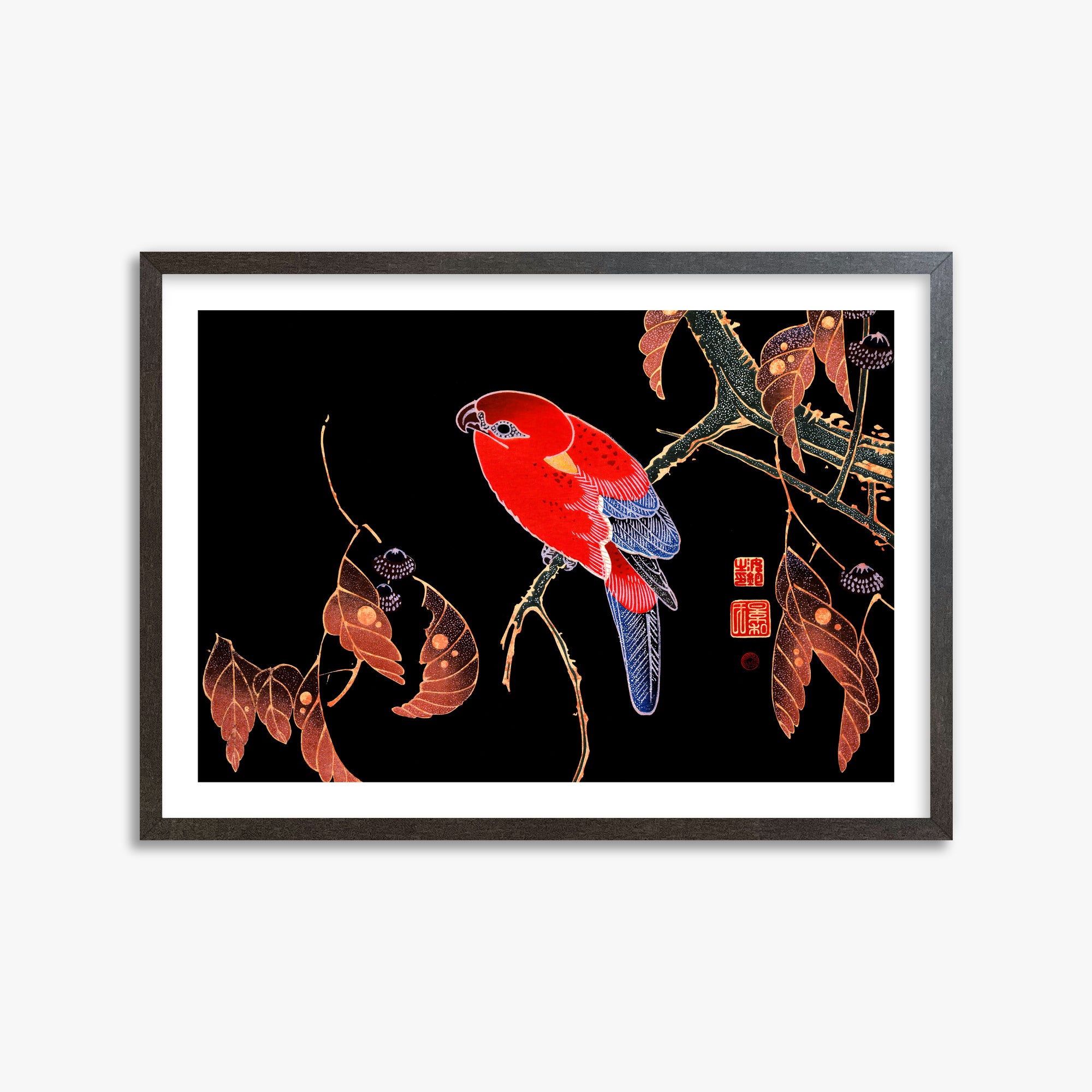 Ito Jakuchu: Red Parrot on the Branch of a Tree, 50x70cm Framed Art Reproduction With Espresso Frame