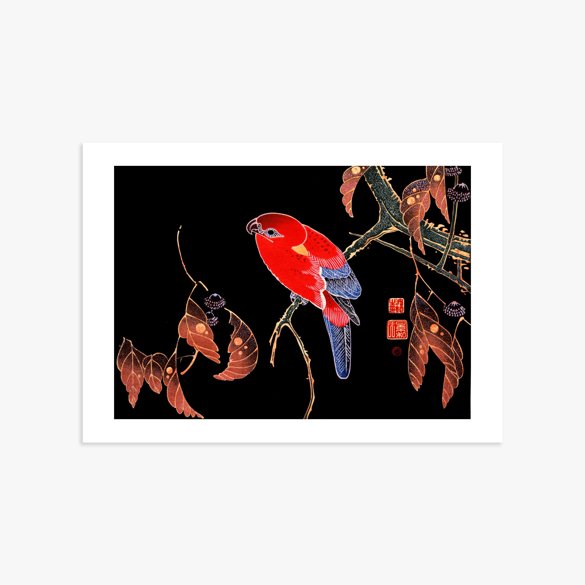 Ito Jakuchu: Red Parrot on the Branch of a Tree, 50x70cm Art Reproduction Unframed