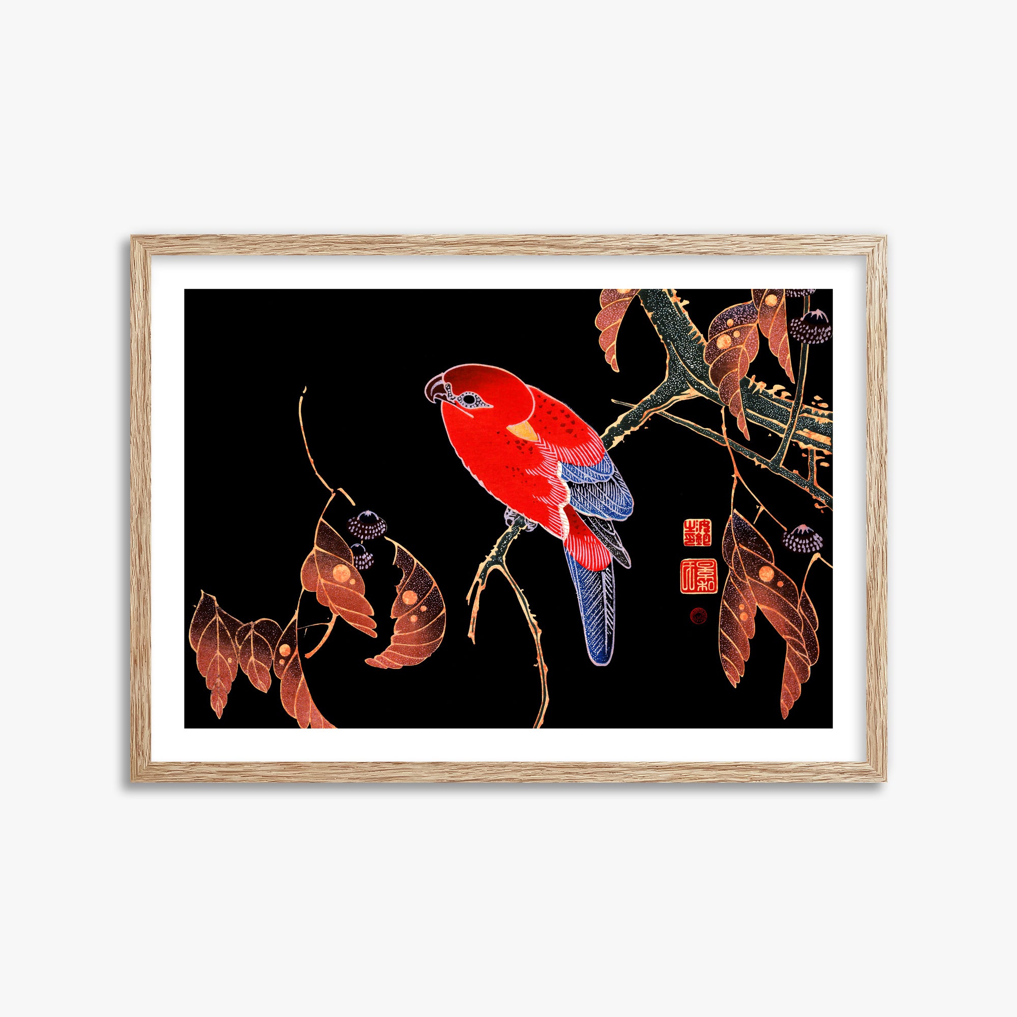 Ito Jakuchu: Red Parrot on the Branch of a Tree, 50x70cm Framed Art Reproduction With Raw Oak Frame