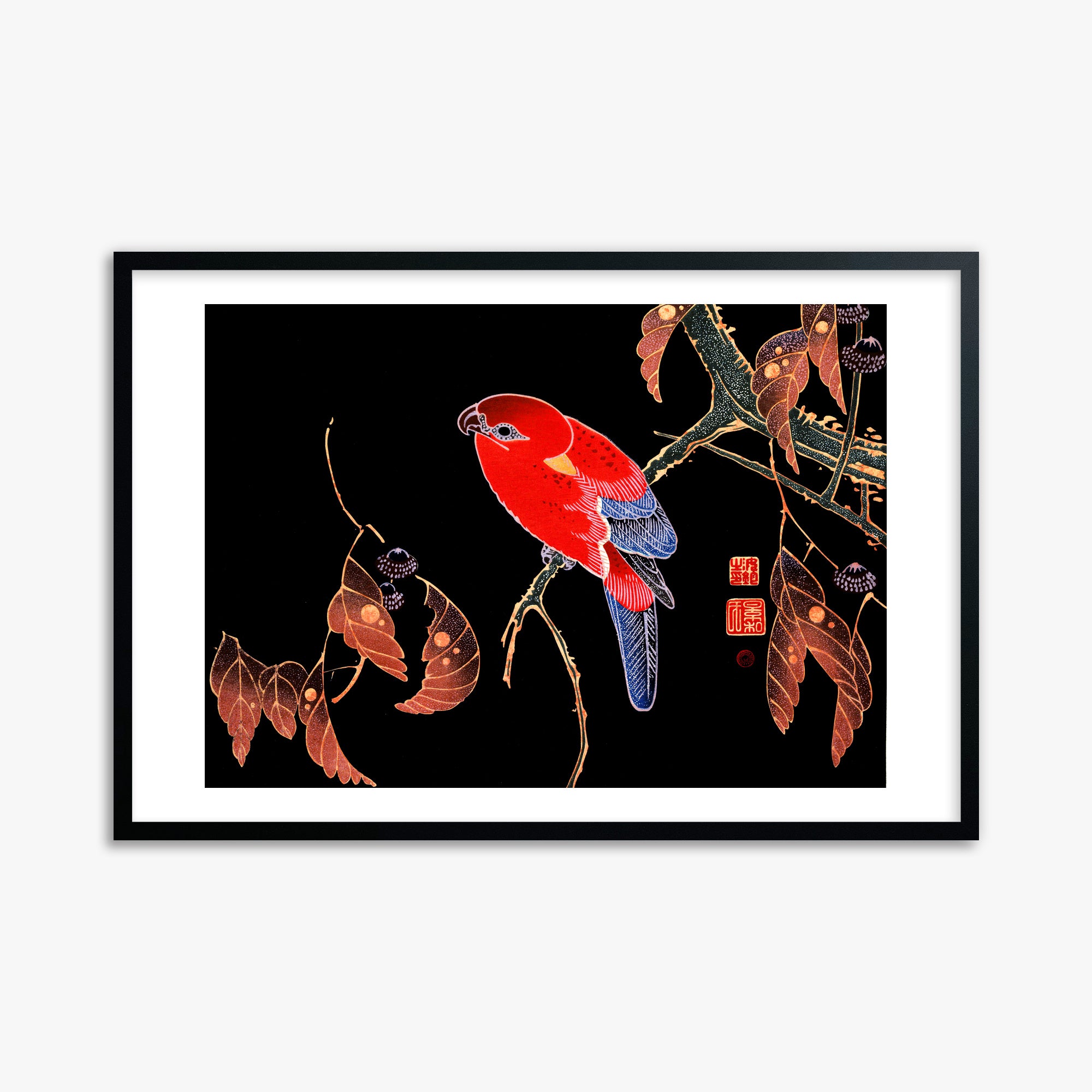 Ito Jakuchu: Red Parrot on the Branch of a Tree, 61x91cm Framed Art Reproduction With Black Frame