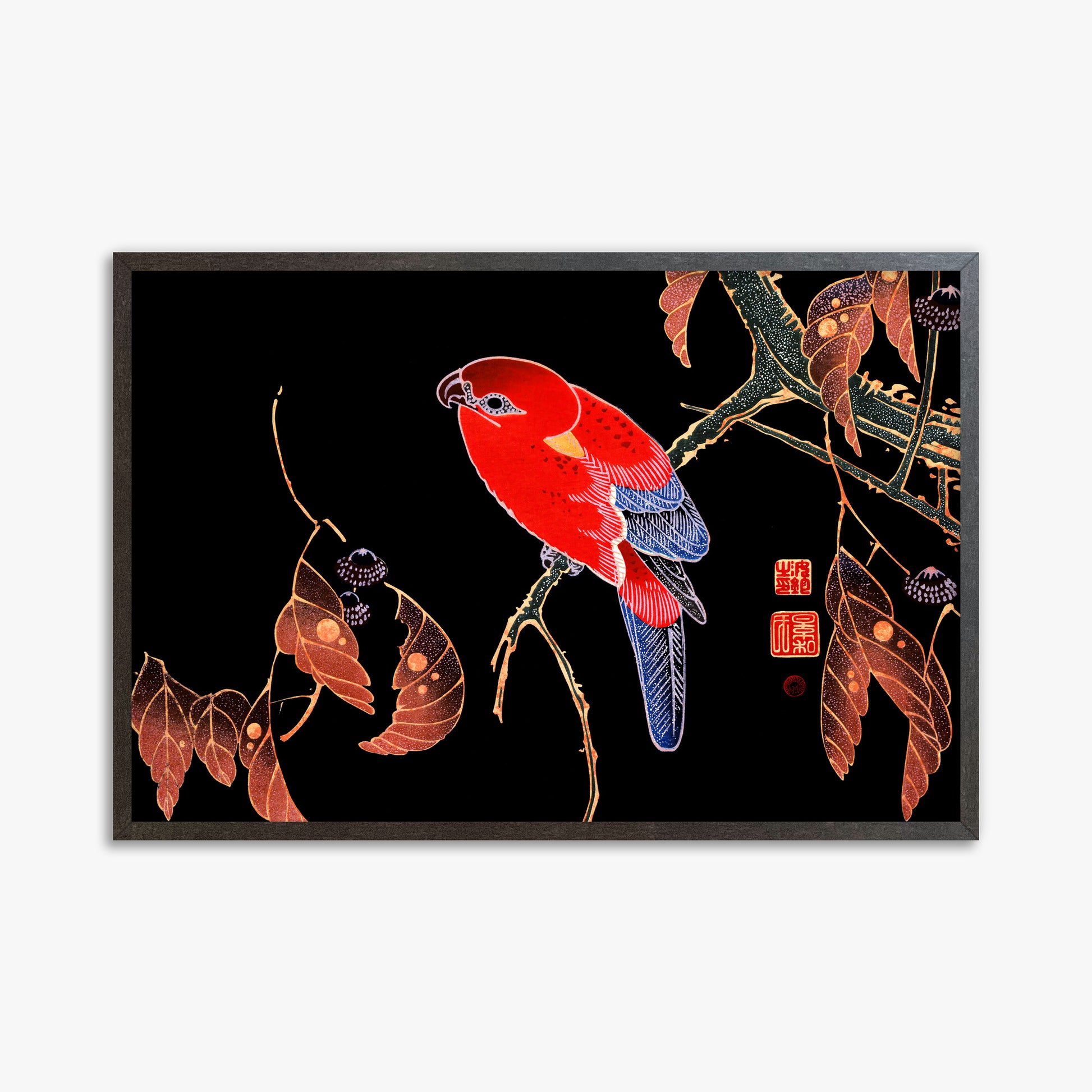 Ito Jakuchu: Red Parrot on the Branch of a Tree, 61x91cm Framed Art Reproduction With Espresso Frame