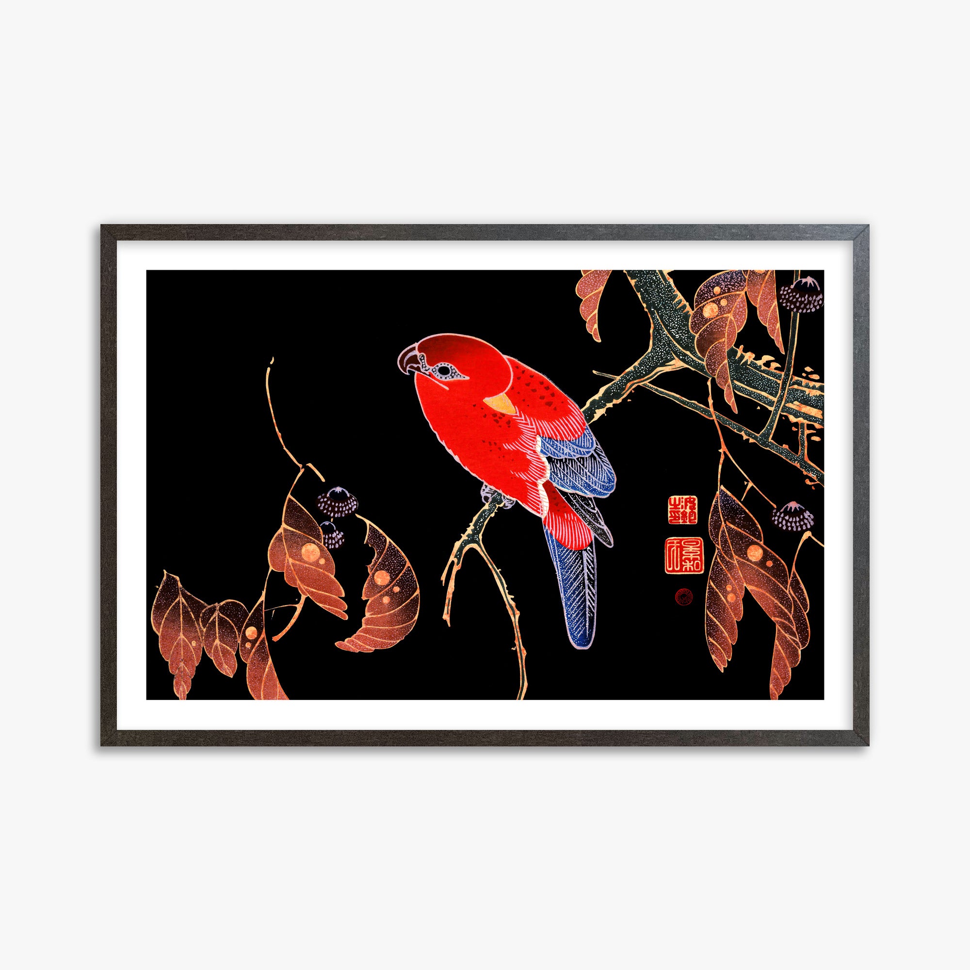 Ito Jakuchu: Red Parrot on the Branch of a Tree, 61x91cm Framed Art Reproduction With Espresso Frame