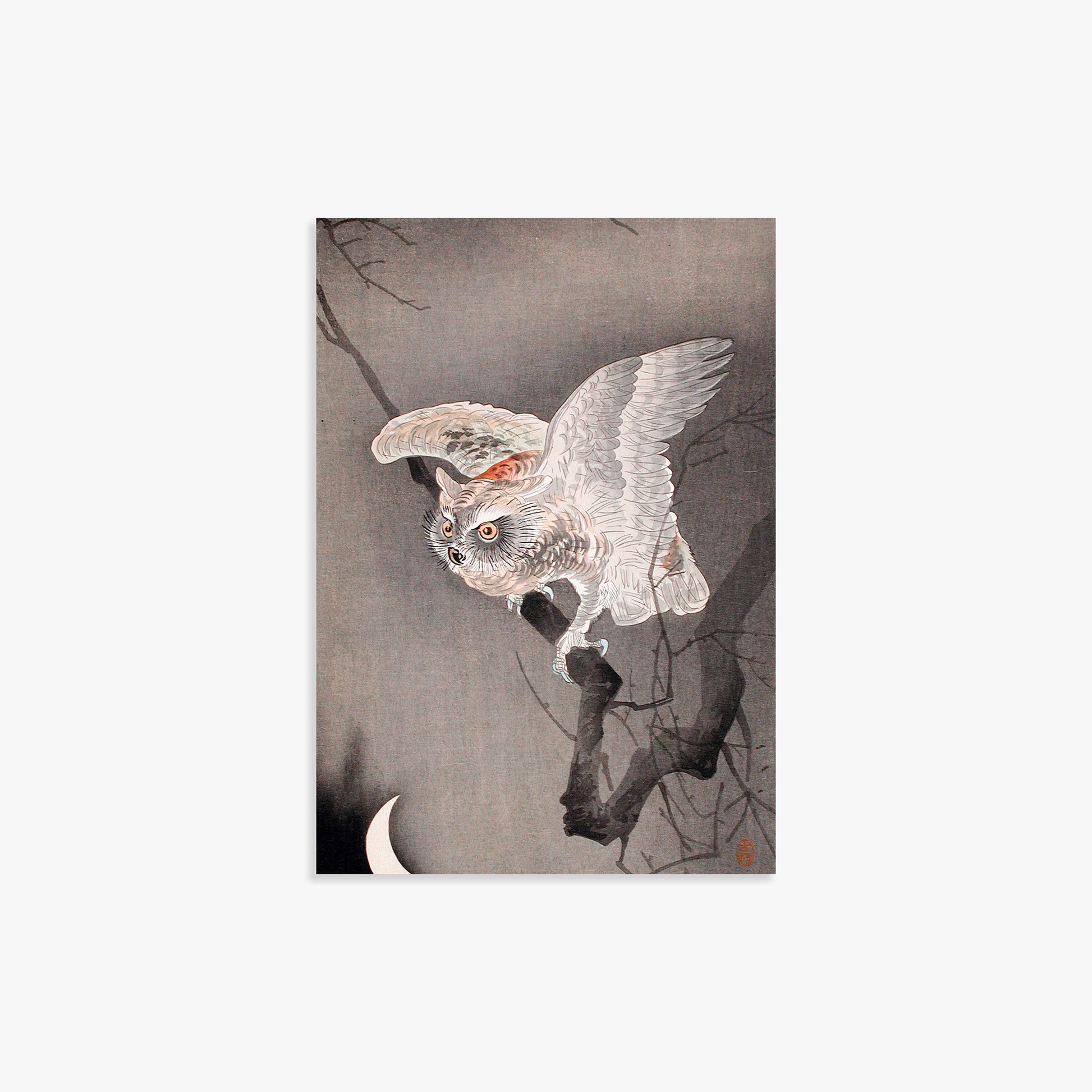 Ohara Koson: Scops Owl in Moonlight, 21x30cm Art Reproduction Unframed