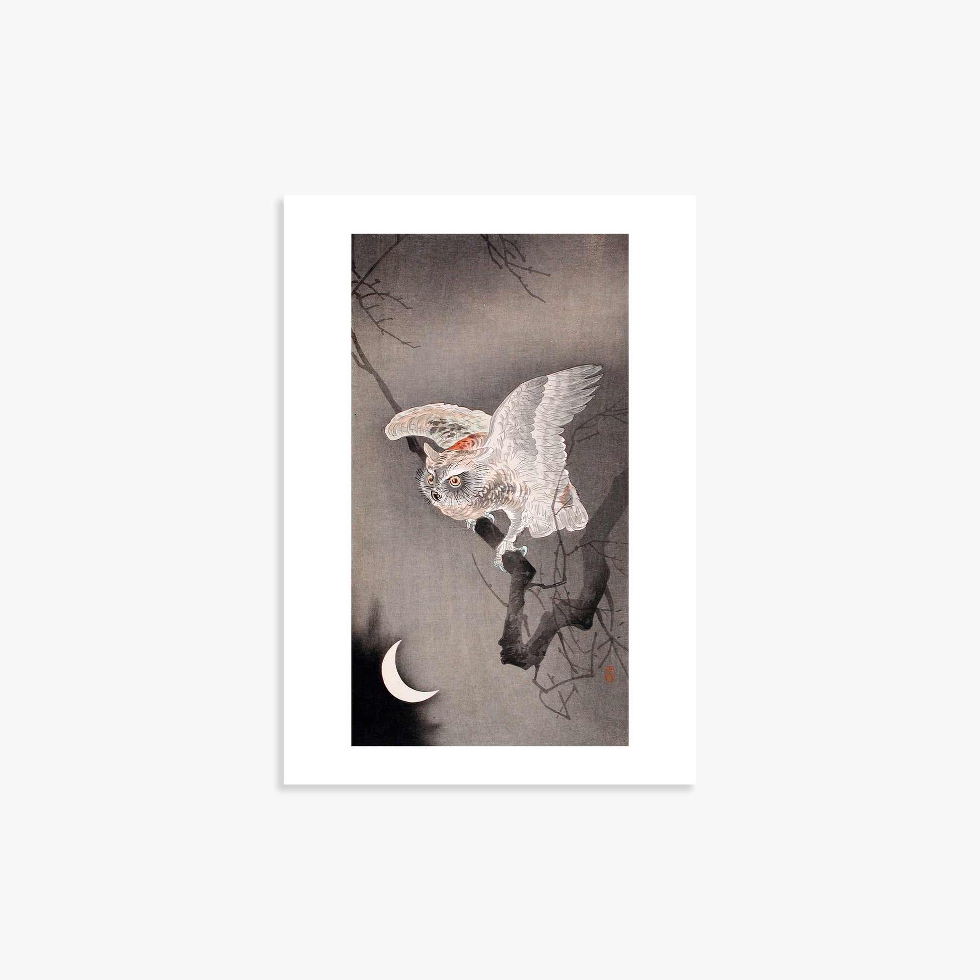 Ohara Koson: Scops Owl in Moonlight, 21x30cm Art Reproduction Unframed