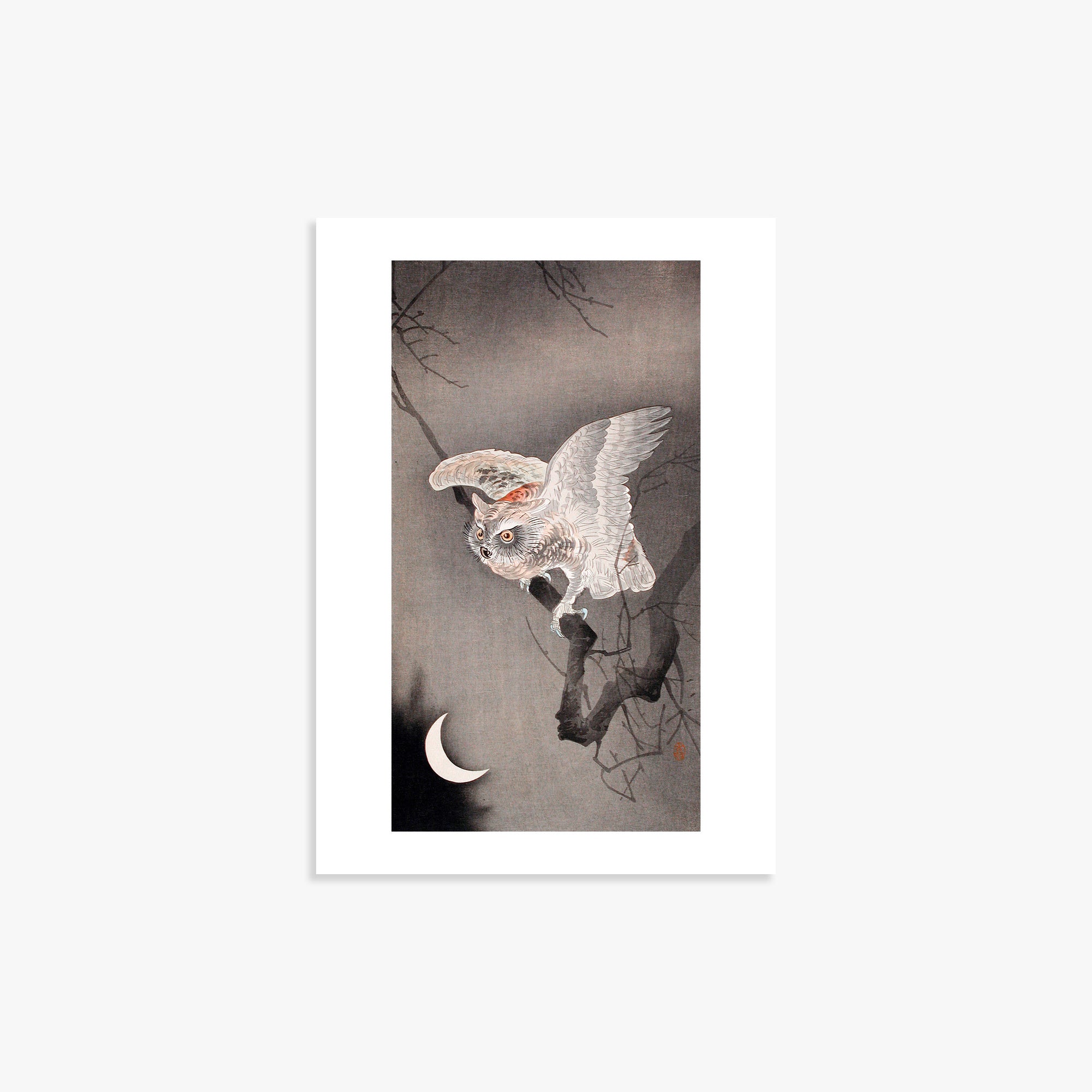 Ohara Koson: Scops Owl in Moonlight, 21x30cm Art Reproduction Unframed