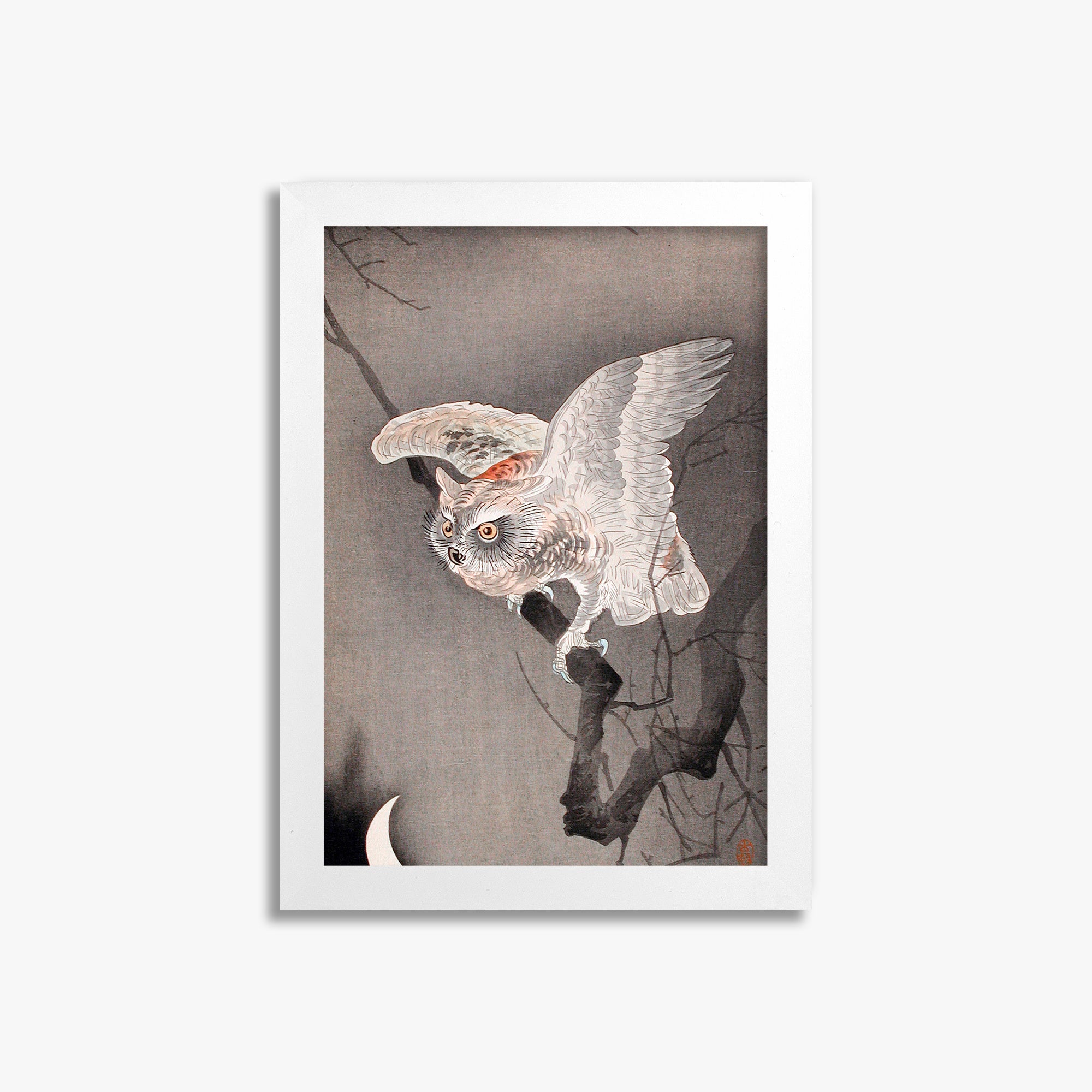 Ohara Koson: Scops Owl in Moonlight, 21x30cm Framed Art Reproduction With White Frame