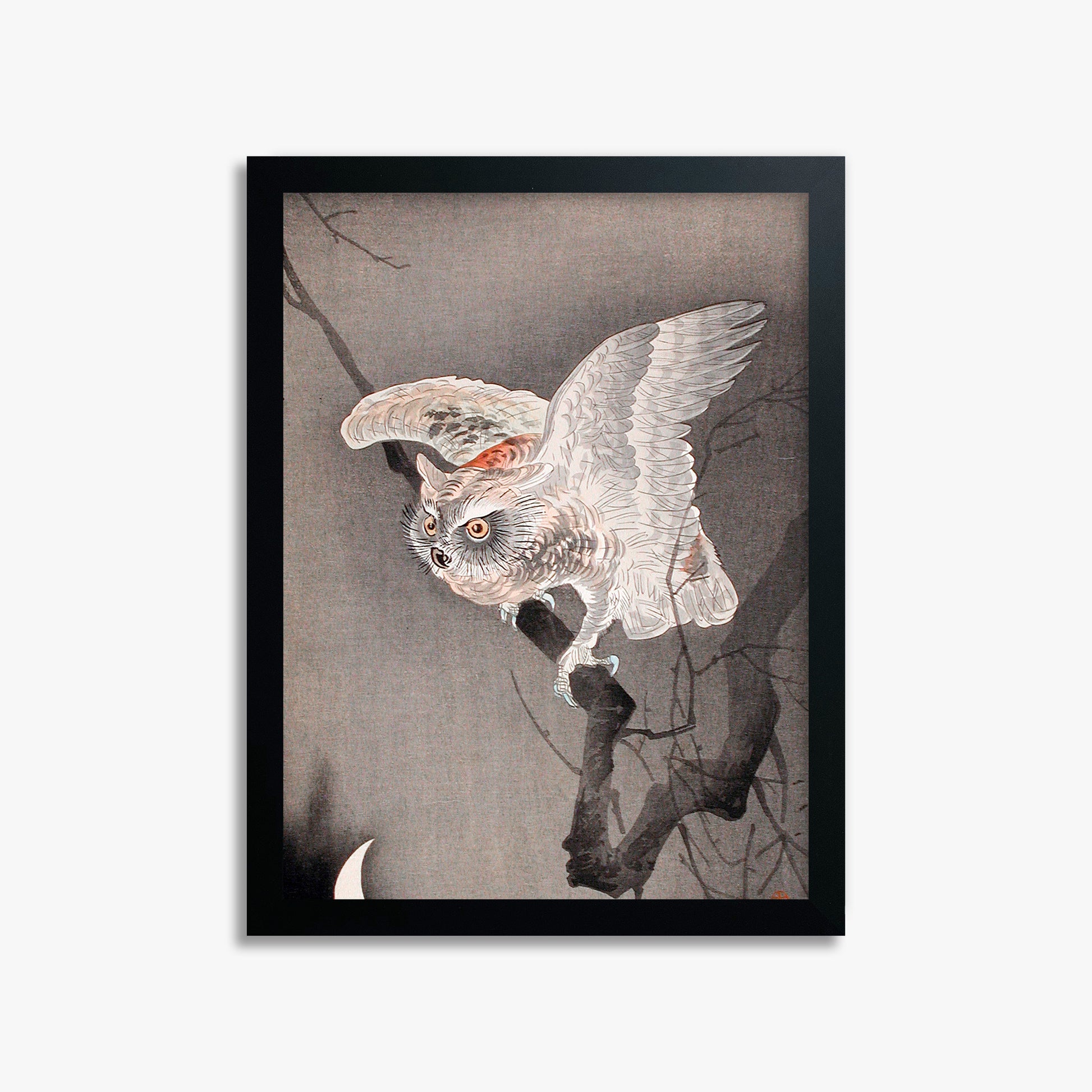 Ohara Koson: Scops Owl in Moonlight, 30x40cm Framed Art Reproduction With Black Frame