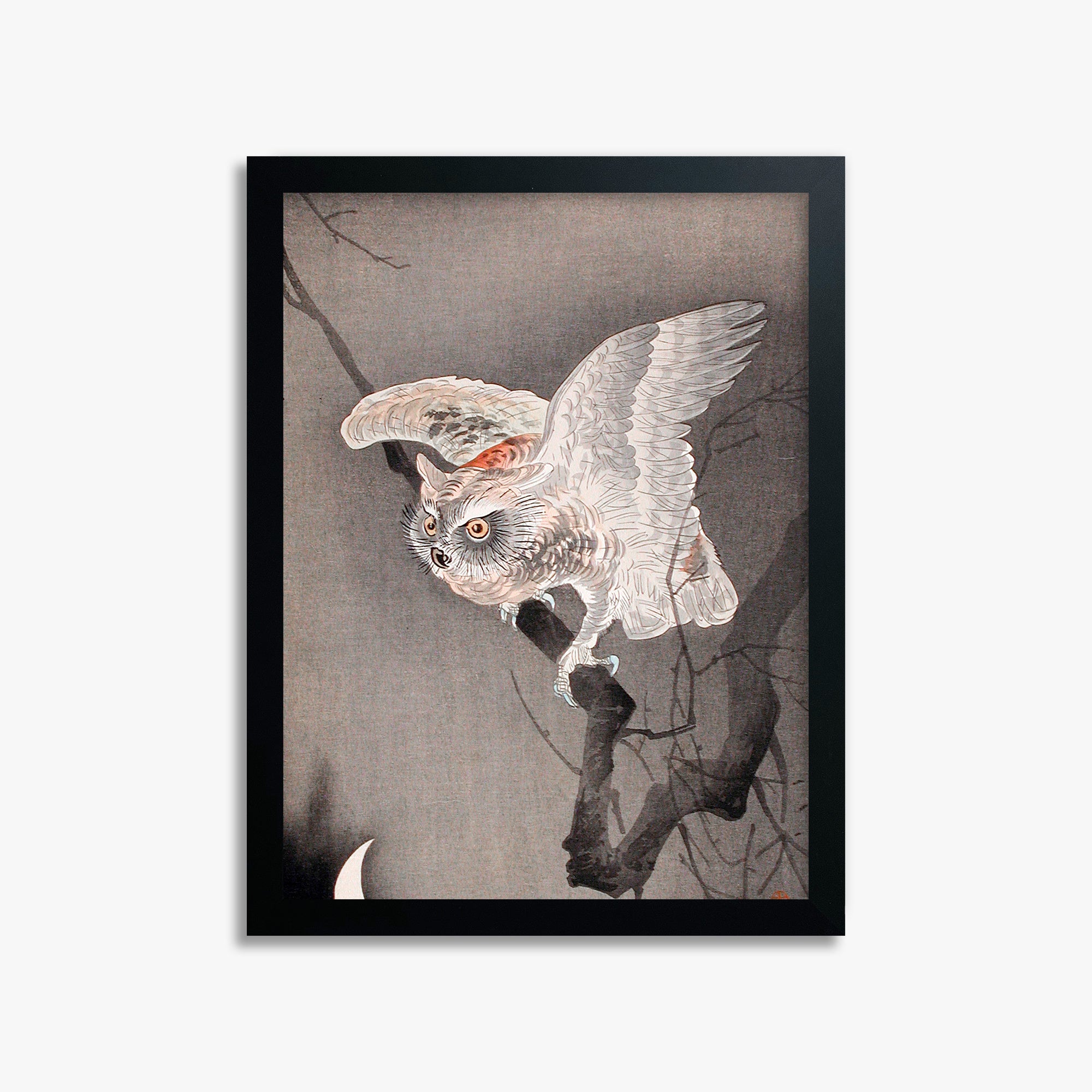 Ohara Koson: Scops Owl in Moonlight, 30x40cm Framed Art Reproduction With Black Frame