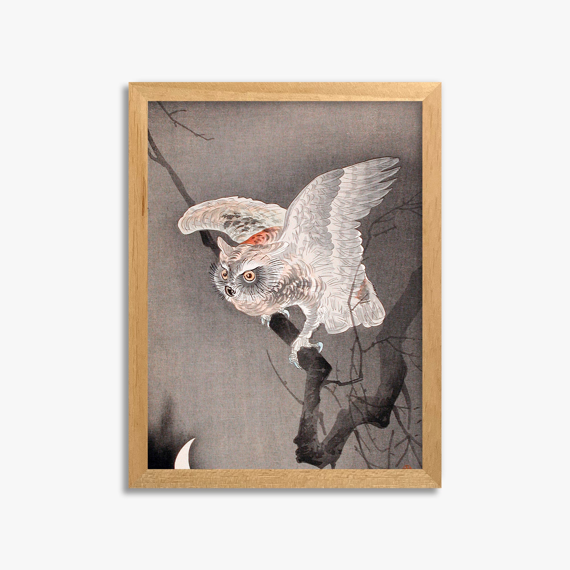 Ohara Koson: Scops Owl in Moonlight, 30x40cm Framed Art Reproduction With Oak Frame
