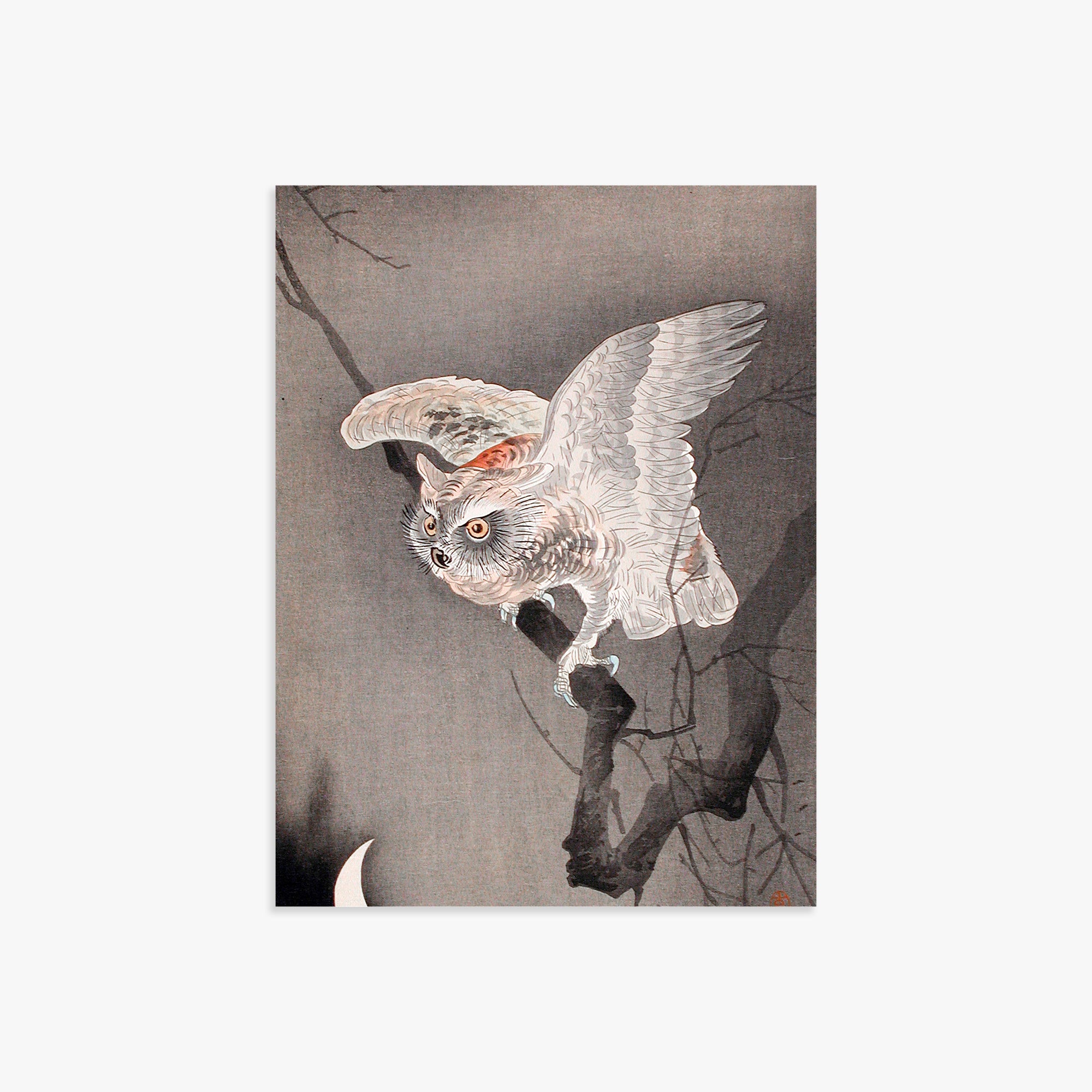 Ohara Koson: Scops Owl in Moonlight, 30x40cm Art Reproduction Unframed