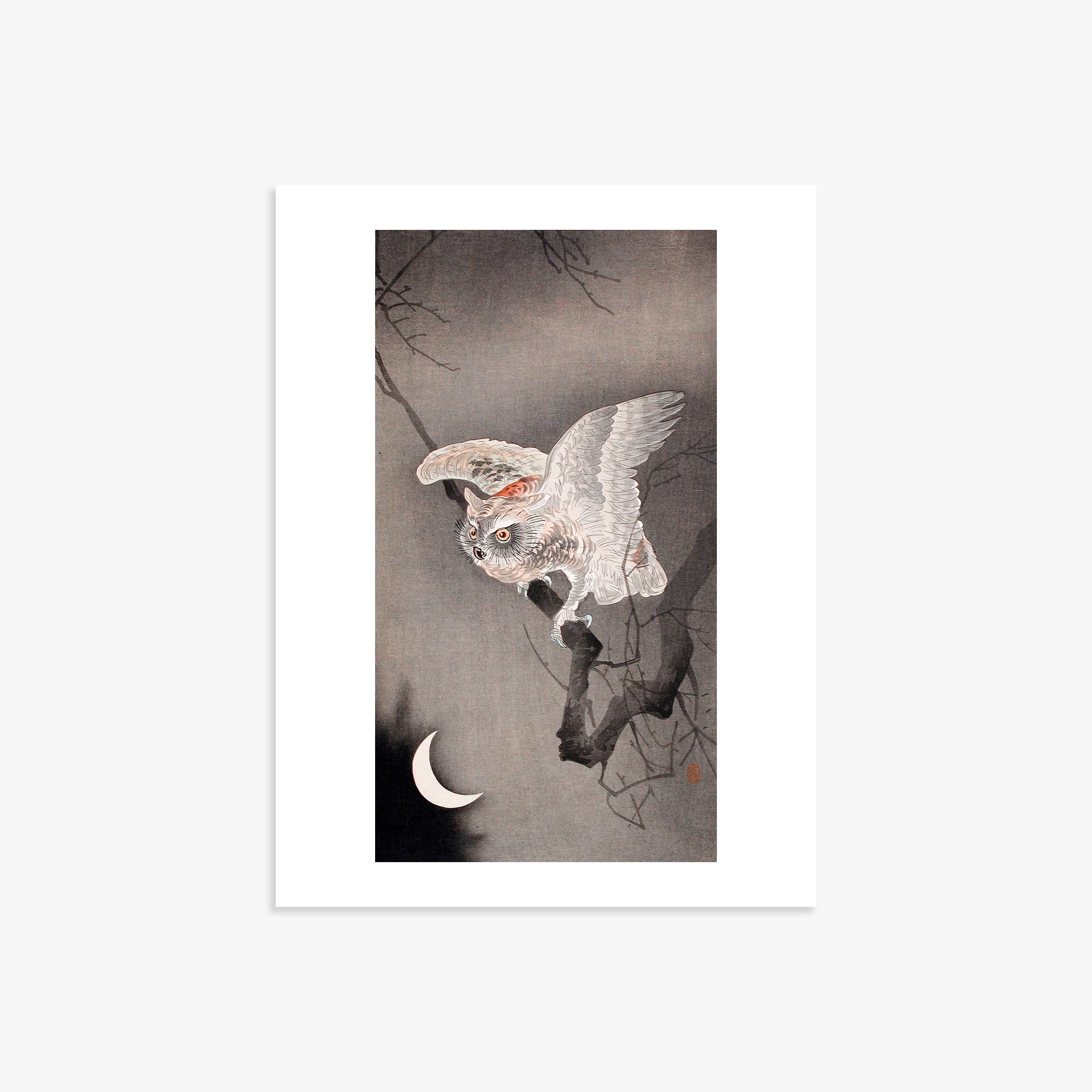 Ohara Koson: Scops Owl in Moonlight, 30x40cm Art Reproduction Unframed