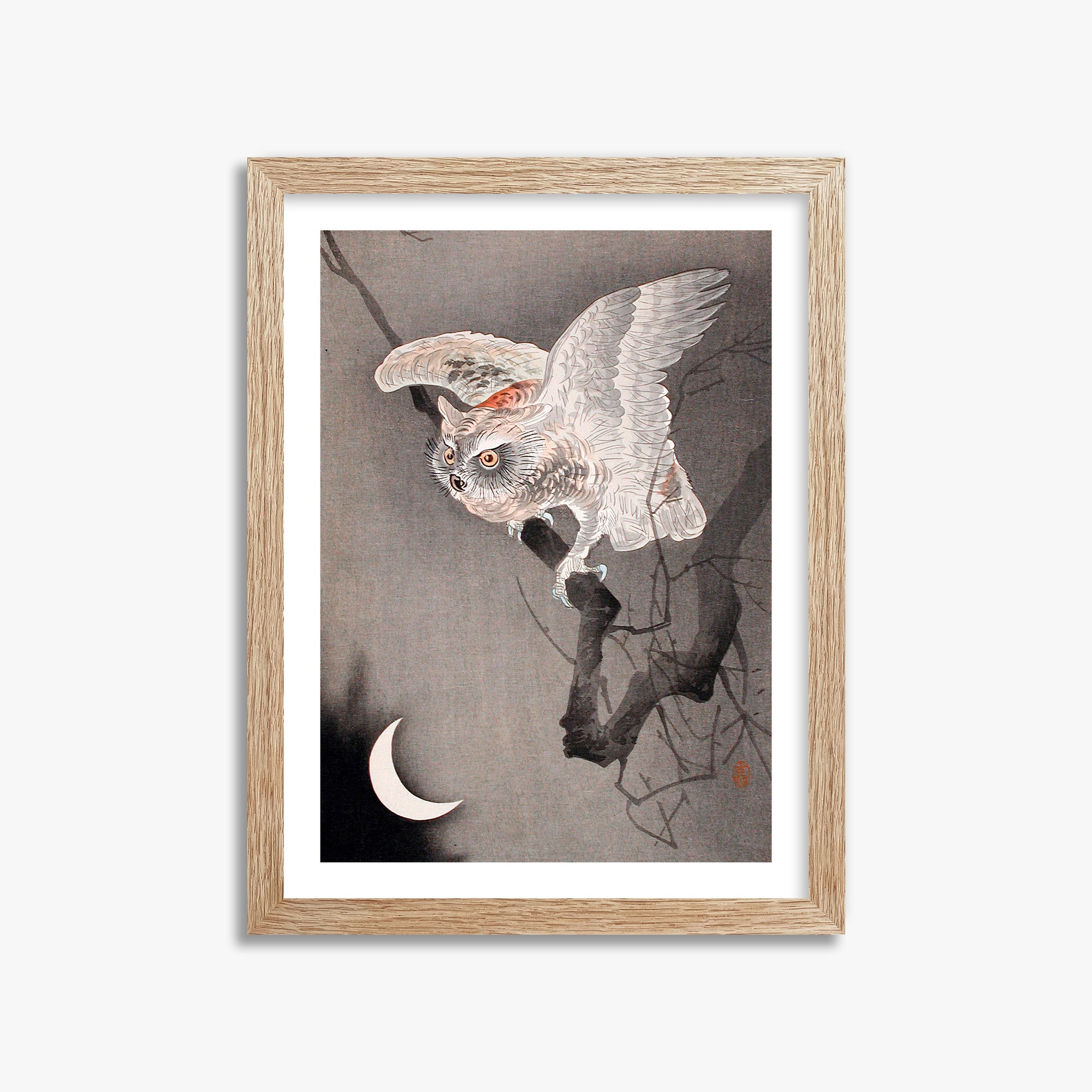 Ohara Koson: Scops Owl in Moonlight, 30x40cm Framed Art Reproduction With Raw Oak Frame