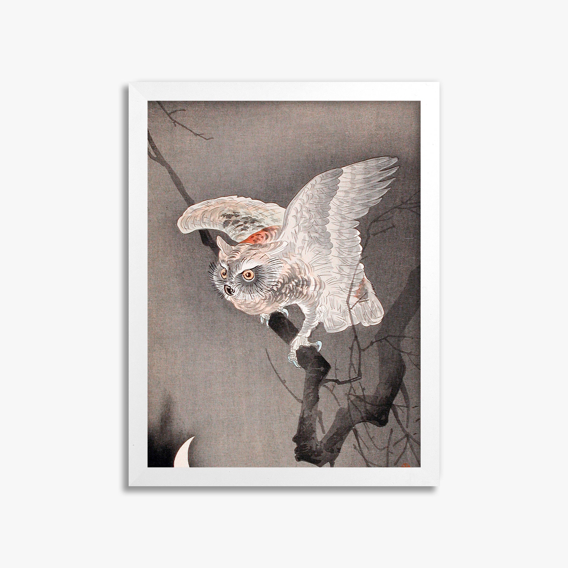 Ohara Koson: Scops Owl in Moonlight, 30x40cm Framed Art Reproduction With White Frame