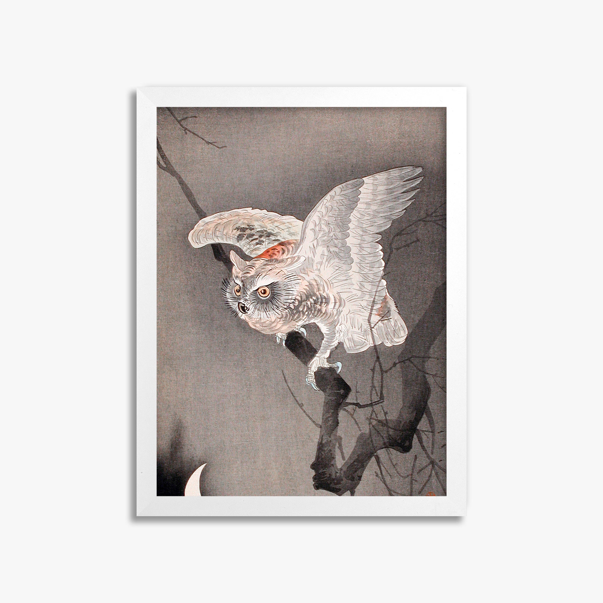 Ohara Koson: Scops Owl in Moonlight, 30x40cm Framed Art Reproduction With White Frame