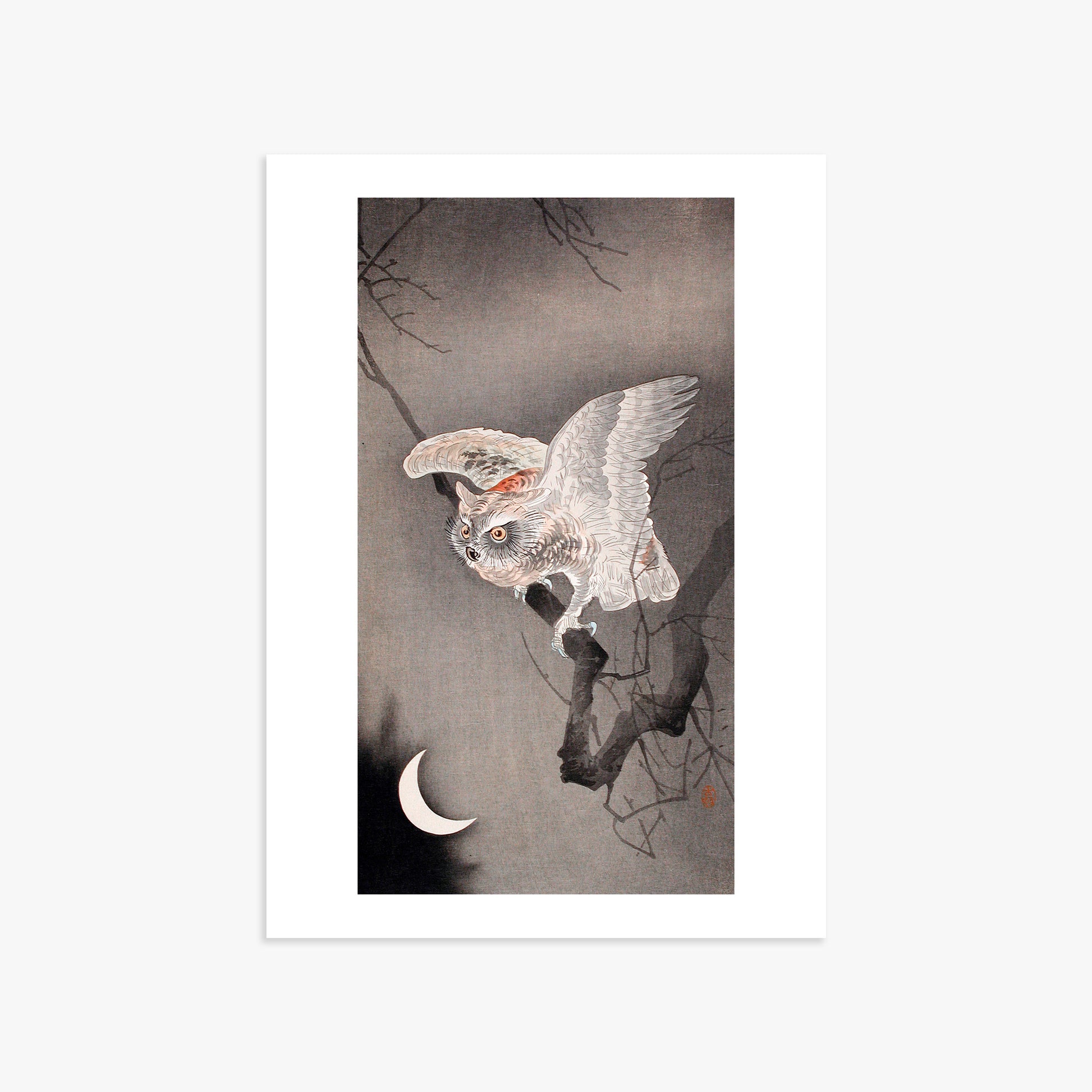Ohara Koson: Scops Owl in Moonlight, 50x70cm Art Reproduction Unframed