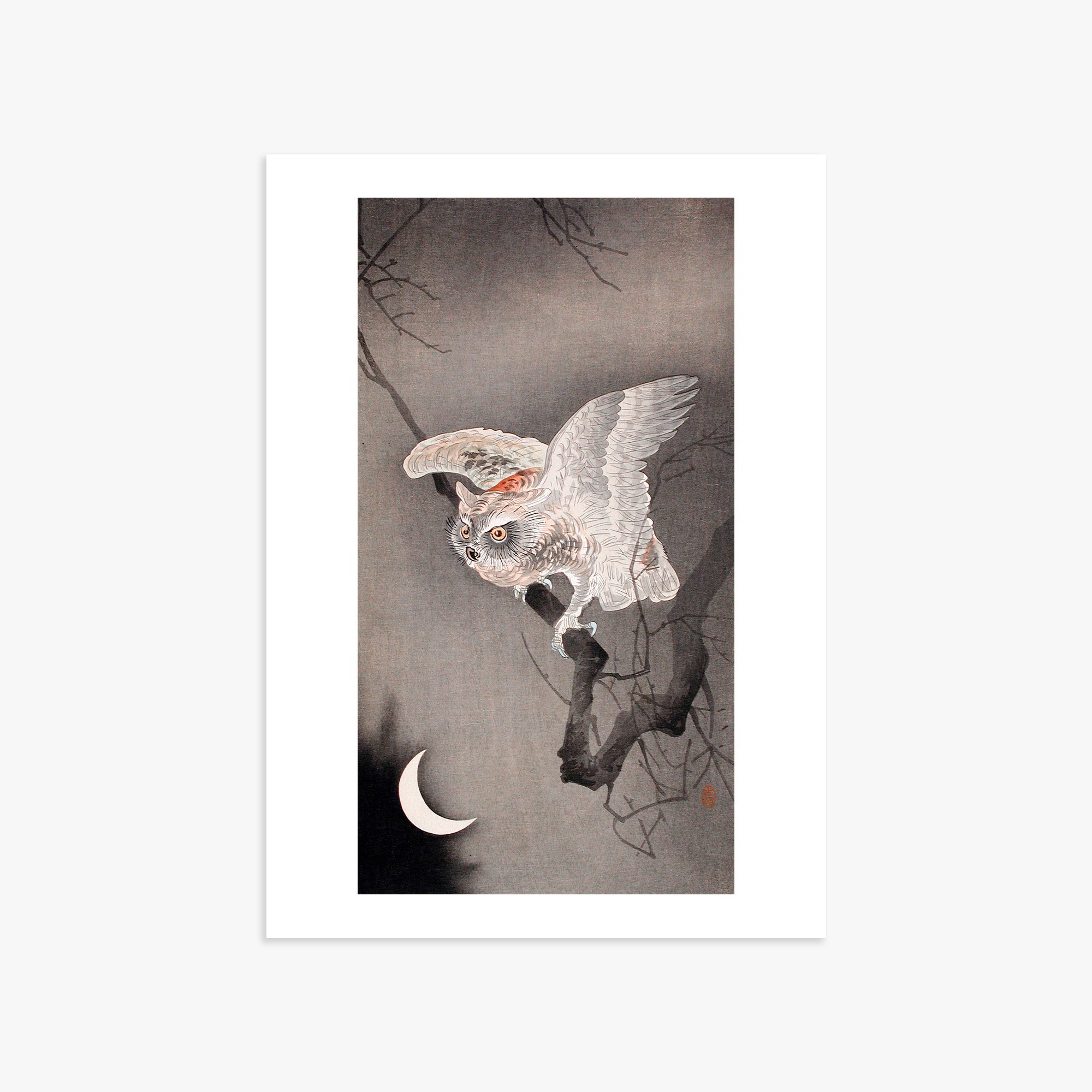 Ohara Koson: Scops Owl in Moonlight, 50x70cm Art Reproduction Unframed