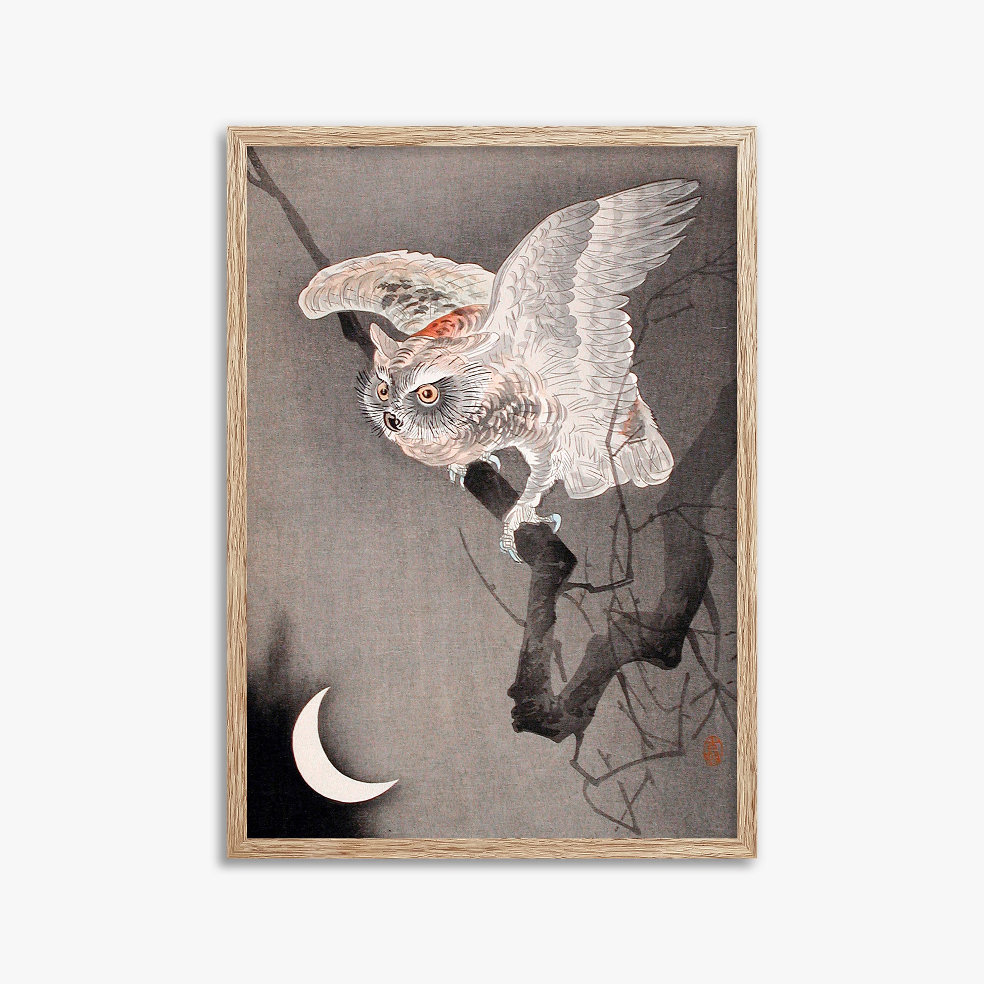 Ohara Koson: Scops Owl in Moonlight, 50x70cm Framed Art Reproduction With Raw Oak Frame