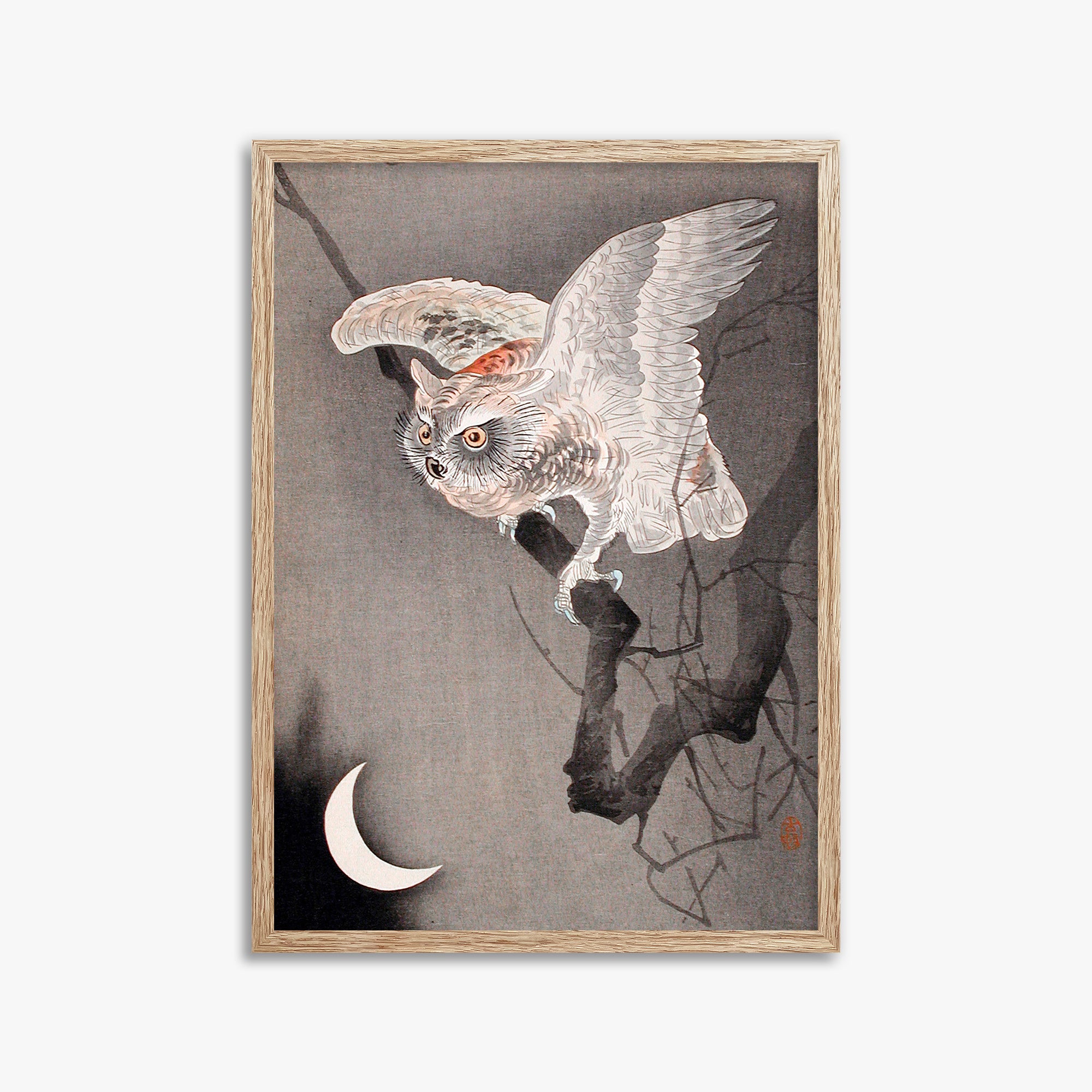 Ohara Koson: Scops Owl in Moonlight, 50x70cm Framed Art Reproduction With Raw Oak Frame