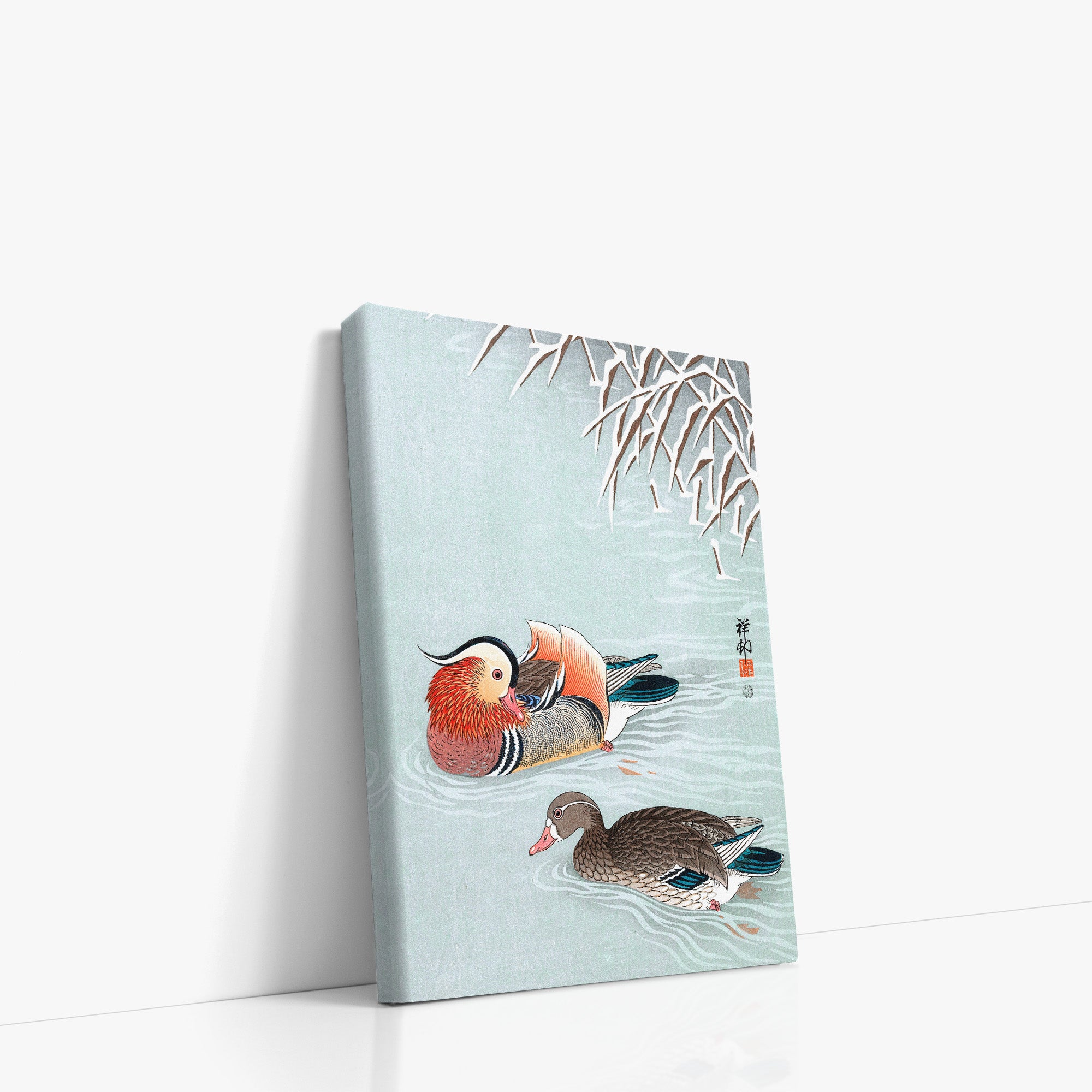 Canards mandarins