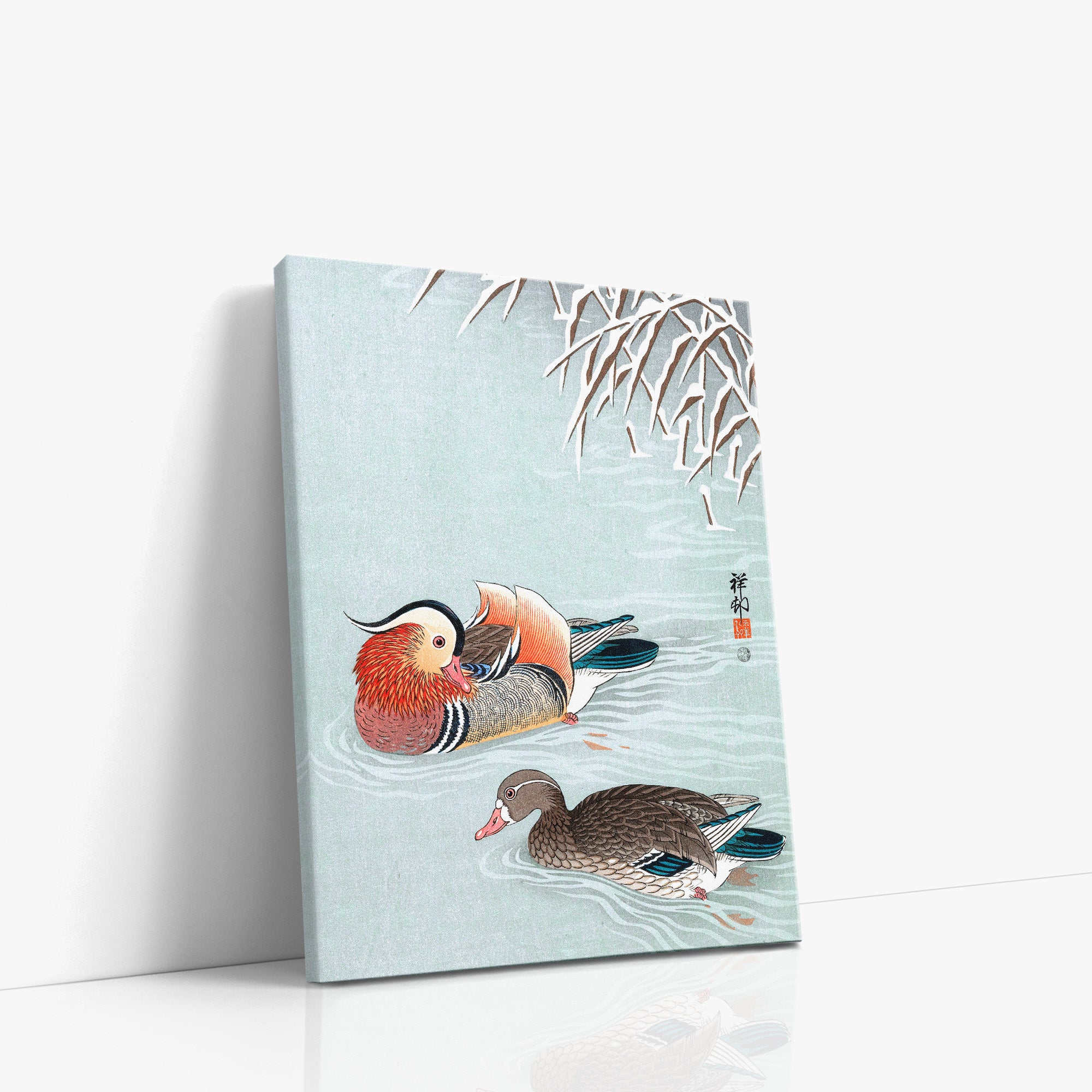 Canards mandarins