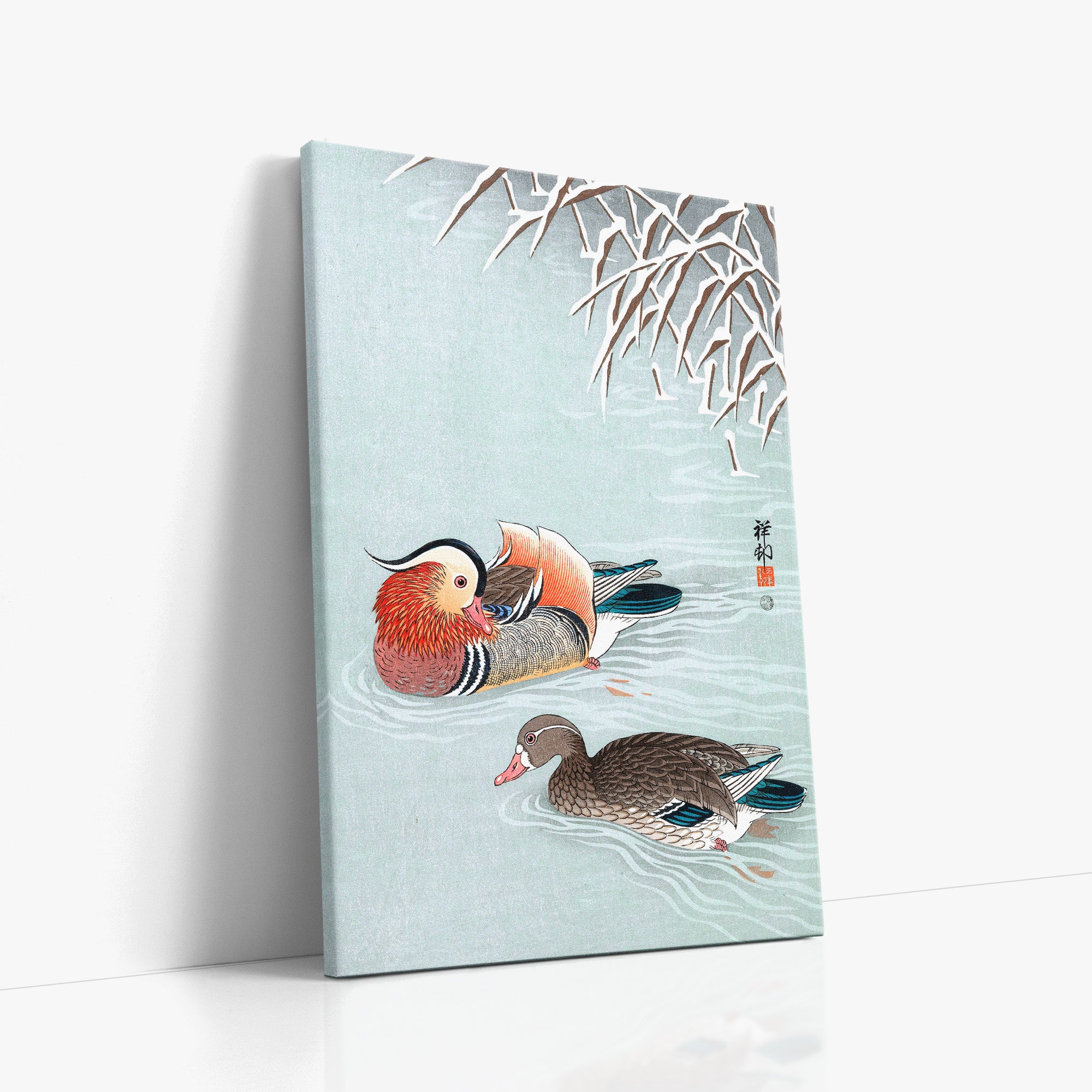 Canards mandarins