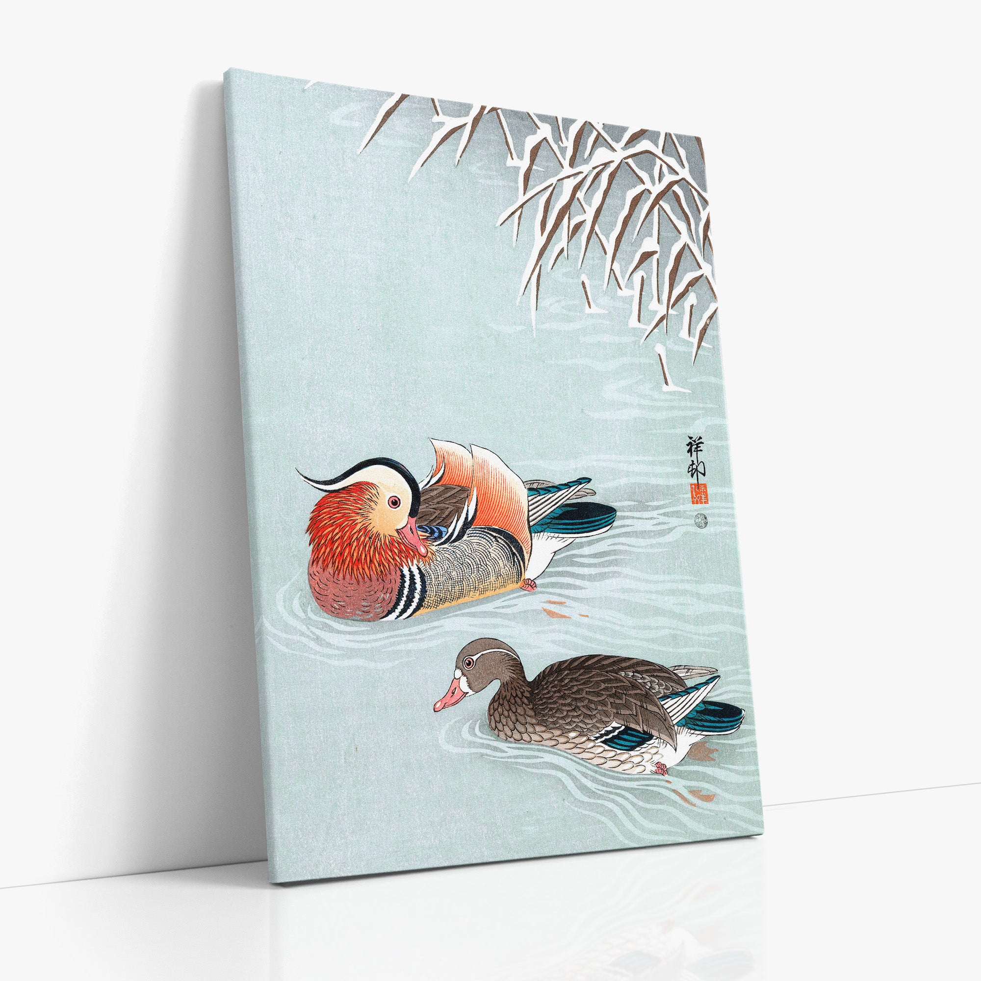 Canards mandarins