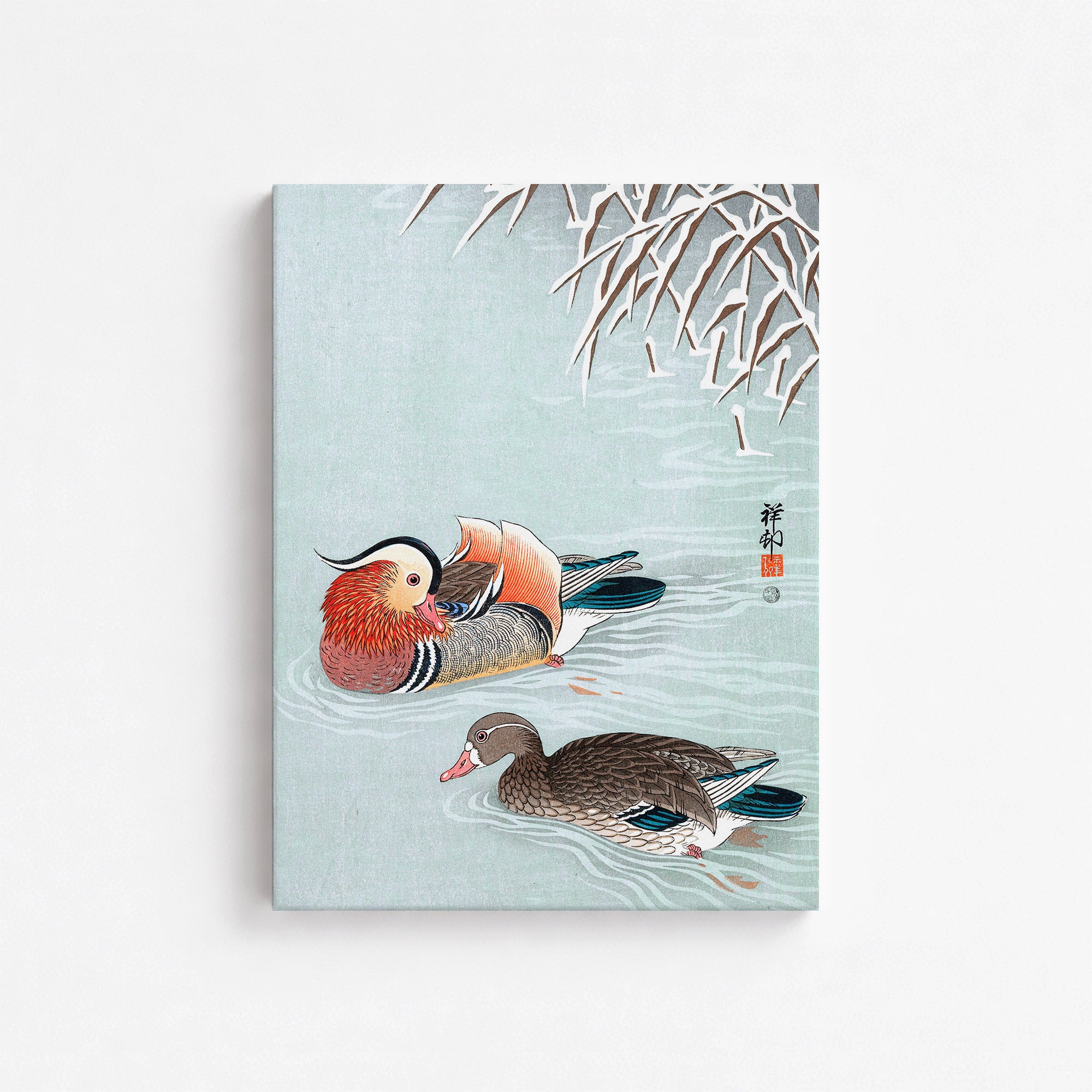Canards mandarins