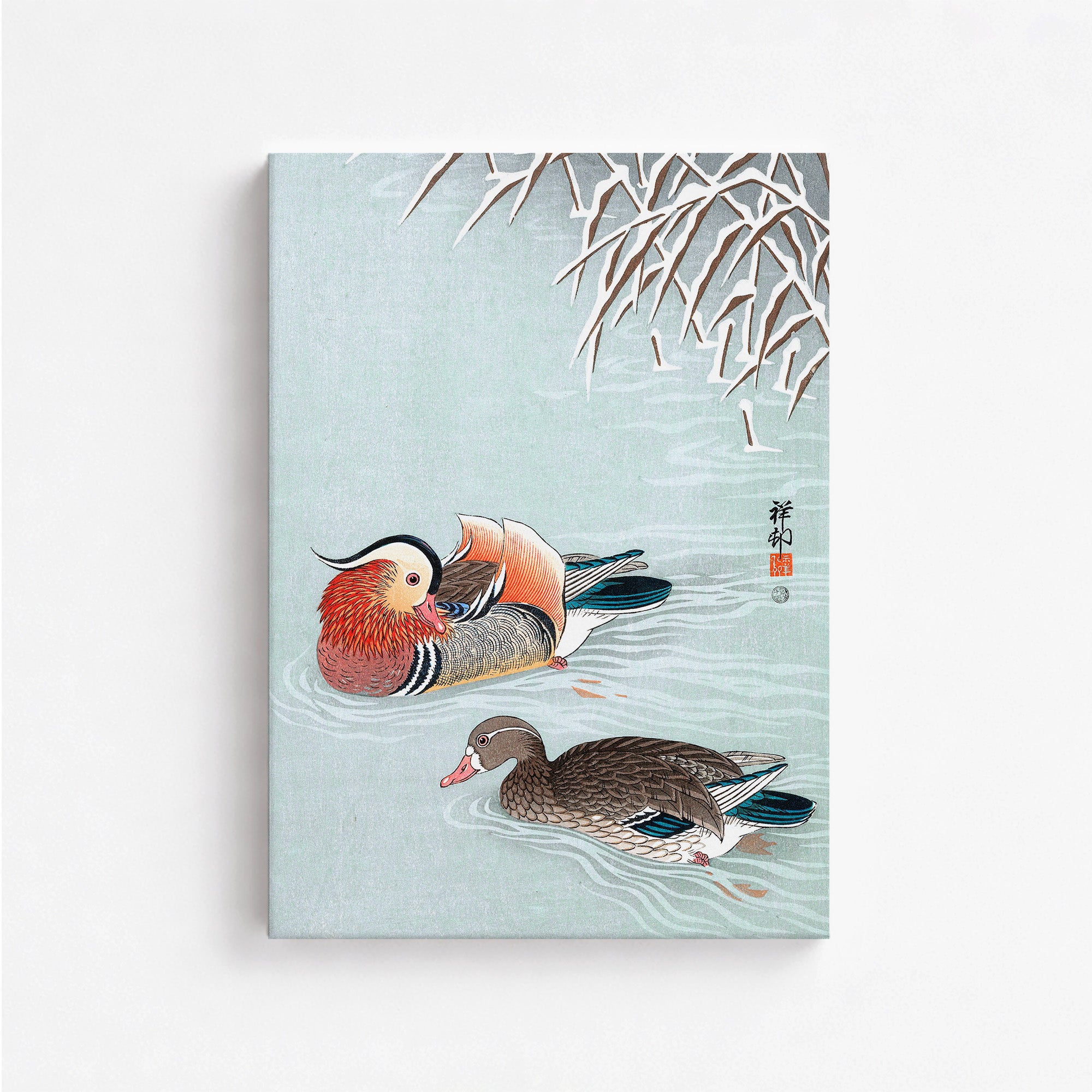 Canards mandarins