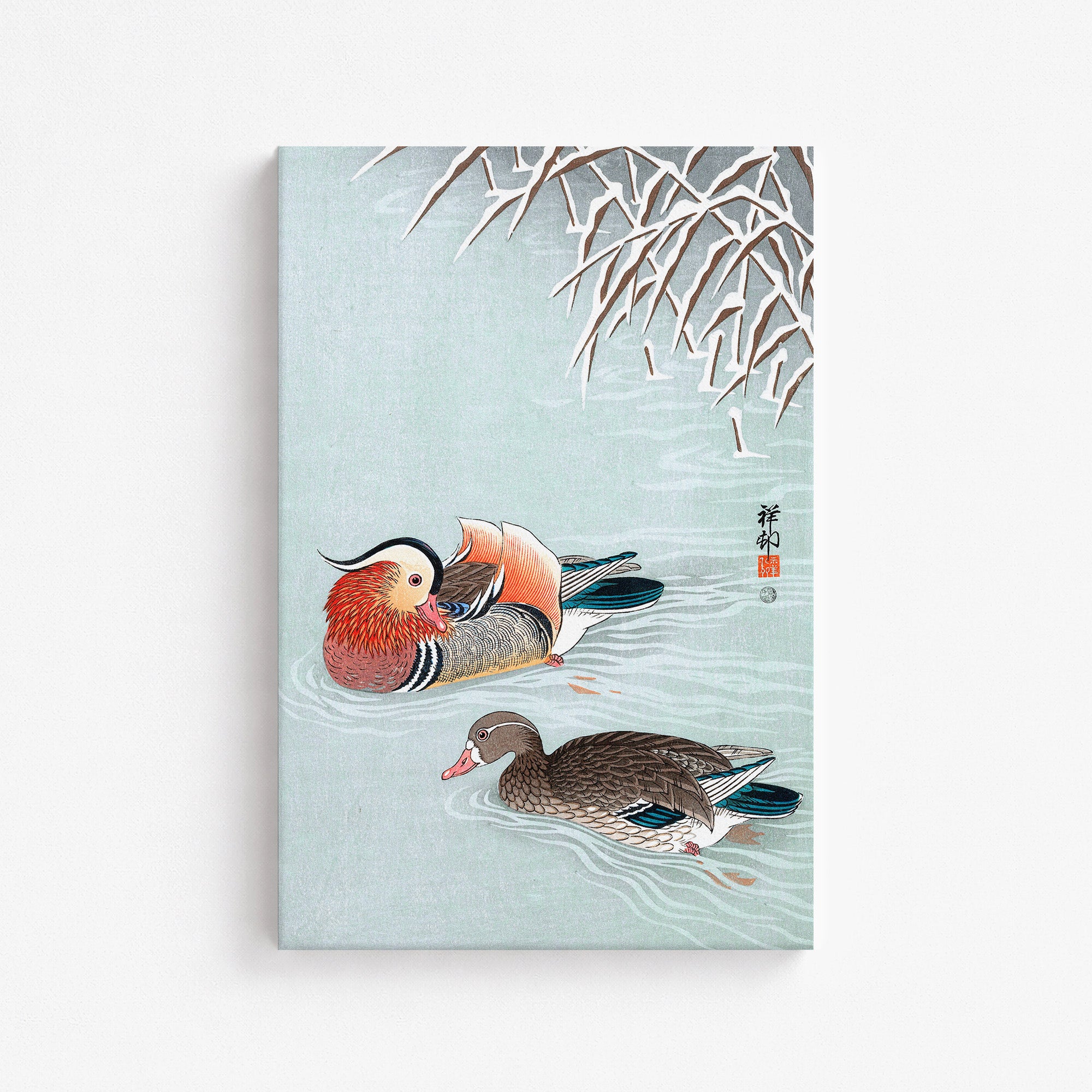 Canards mandarins