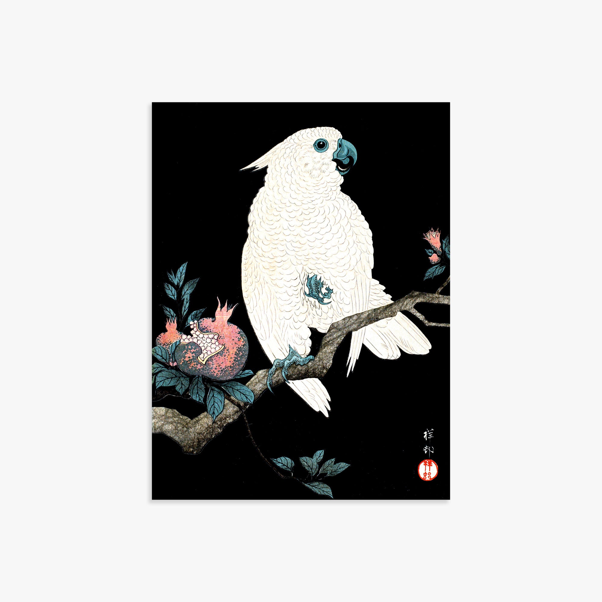Ohara Koson: Cockatoo with Pomegranate, 30x40cm Art Reproduction Unframed