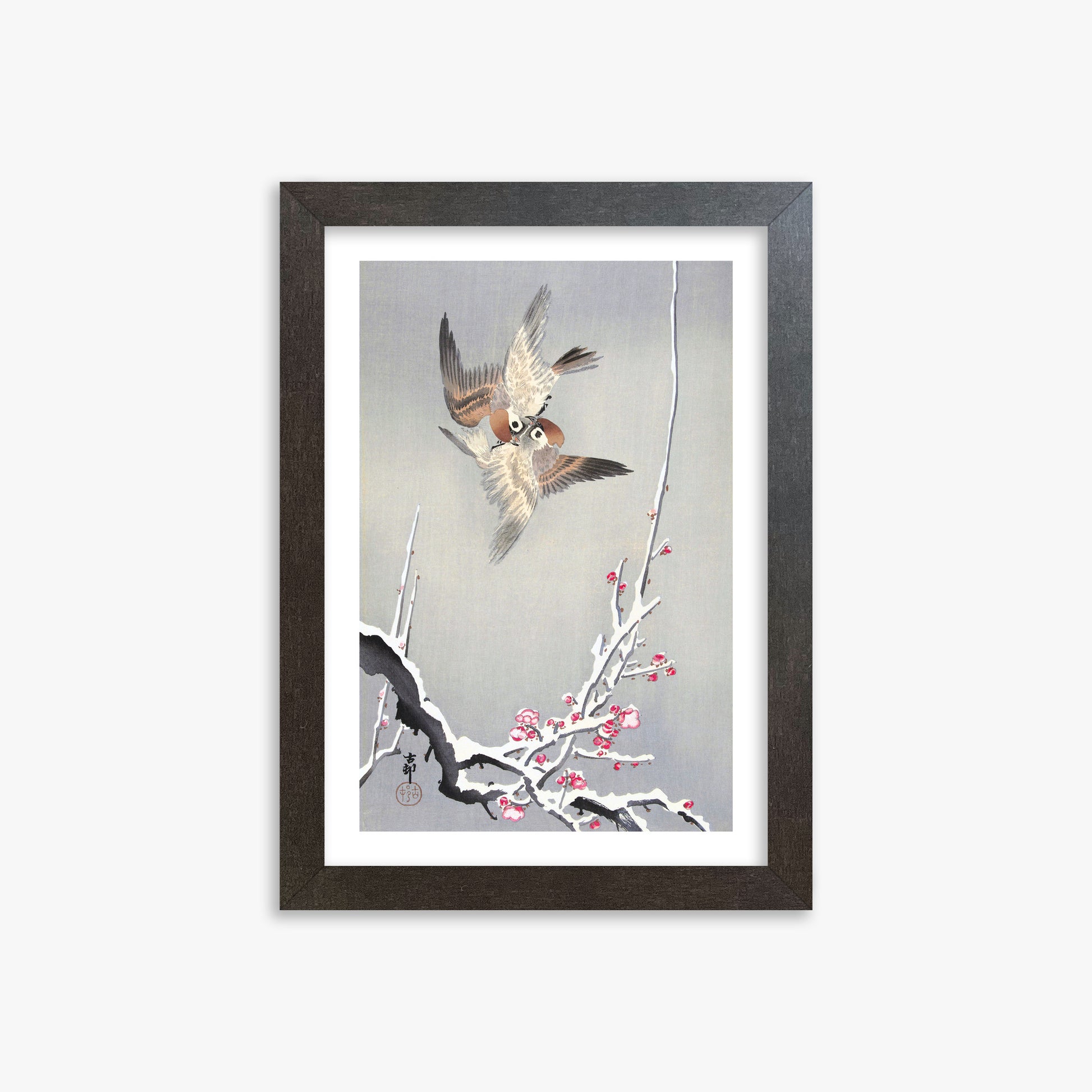 Ohara Koson: Sparrows and Snowy Plum Tree, 21x30cm Framed Art Reproduction With Espresso Frame