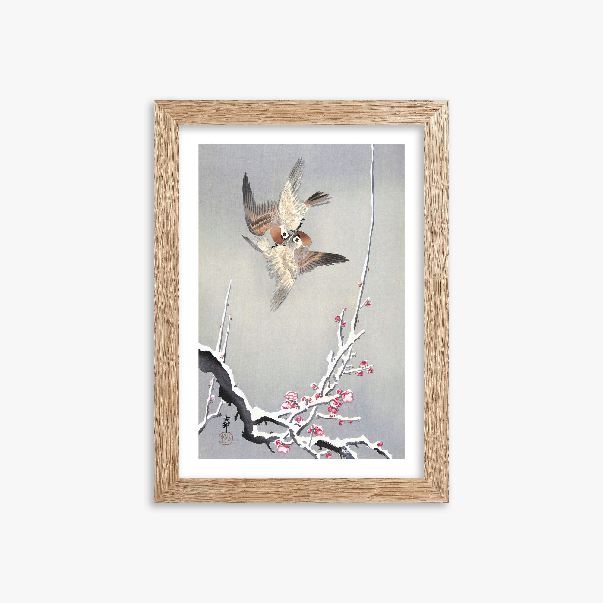 Ohara Koson: Sparrows and Snowy Plum Tree, 21x30cm Framed Art Reproduction With Raw Oak Frame
