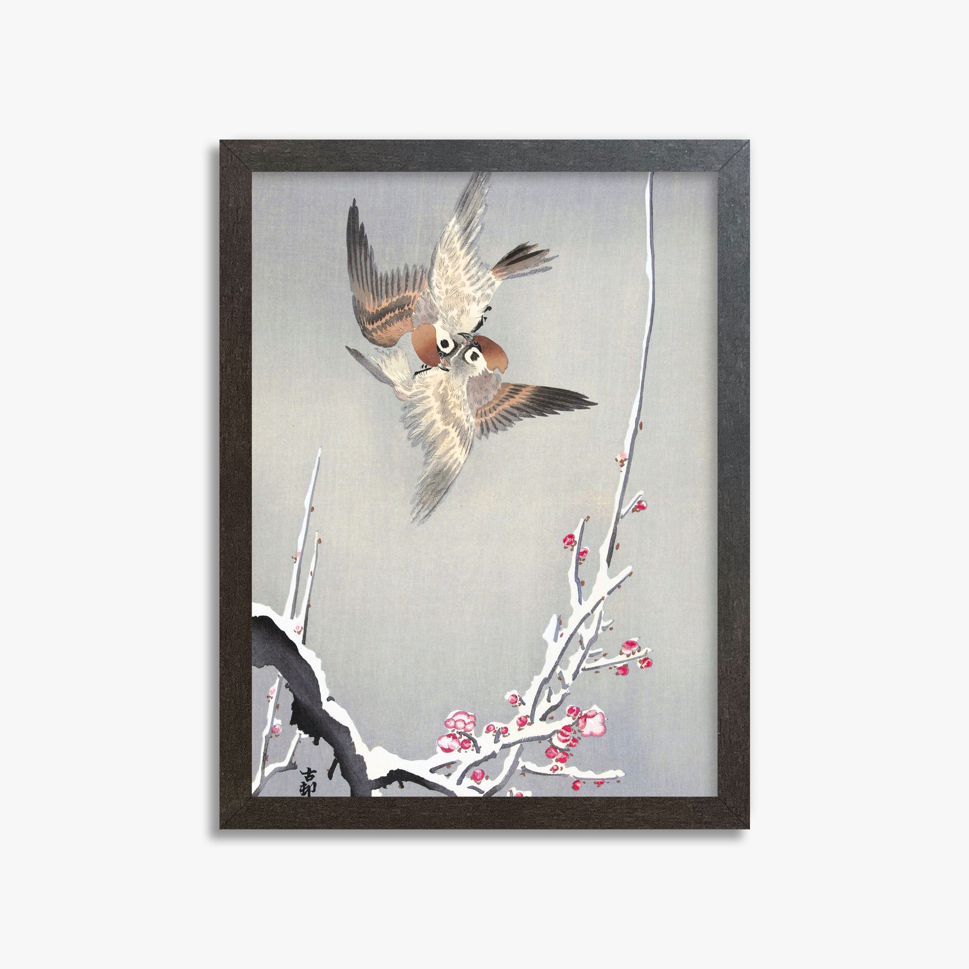 Ohara Koson: Sparrows and Snowy Plum Tree, 30x40cm Framed Art Reproduction With Espresso Frame