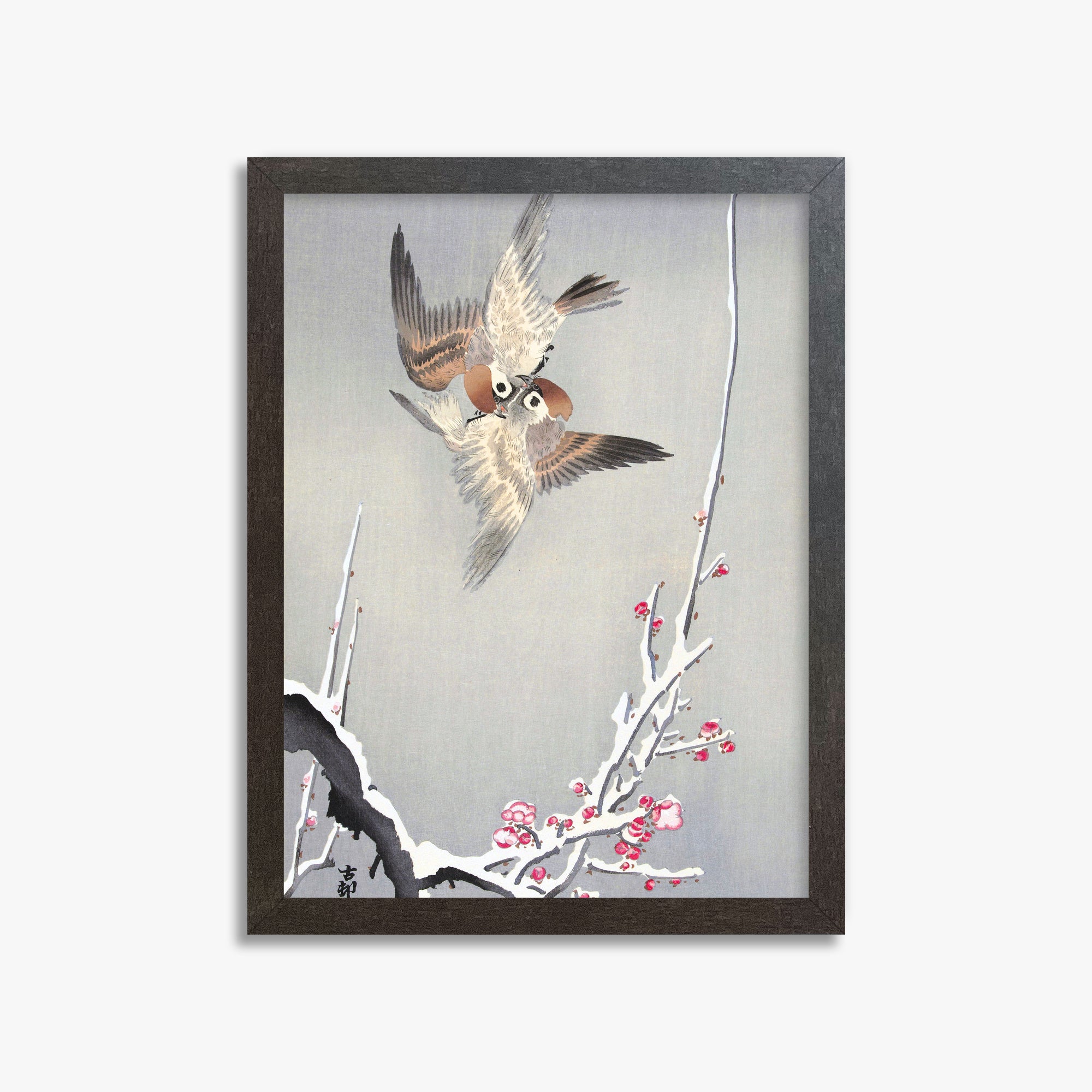 Ohara Koson: Sparrows and Snowy Plum Tree, 30x40cm Framed Art Reproduction With Espresso Frame