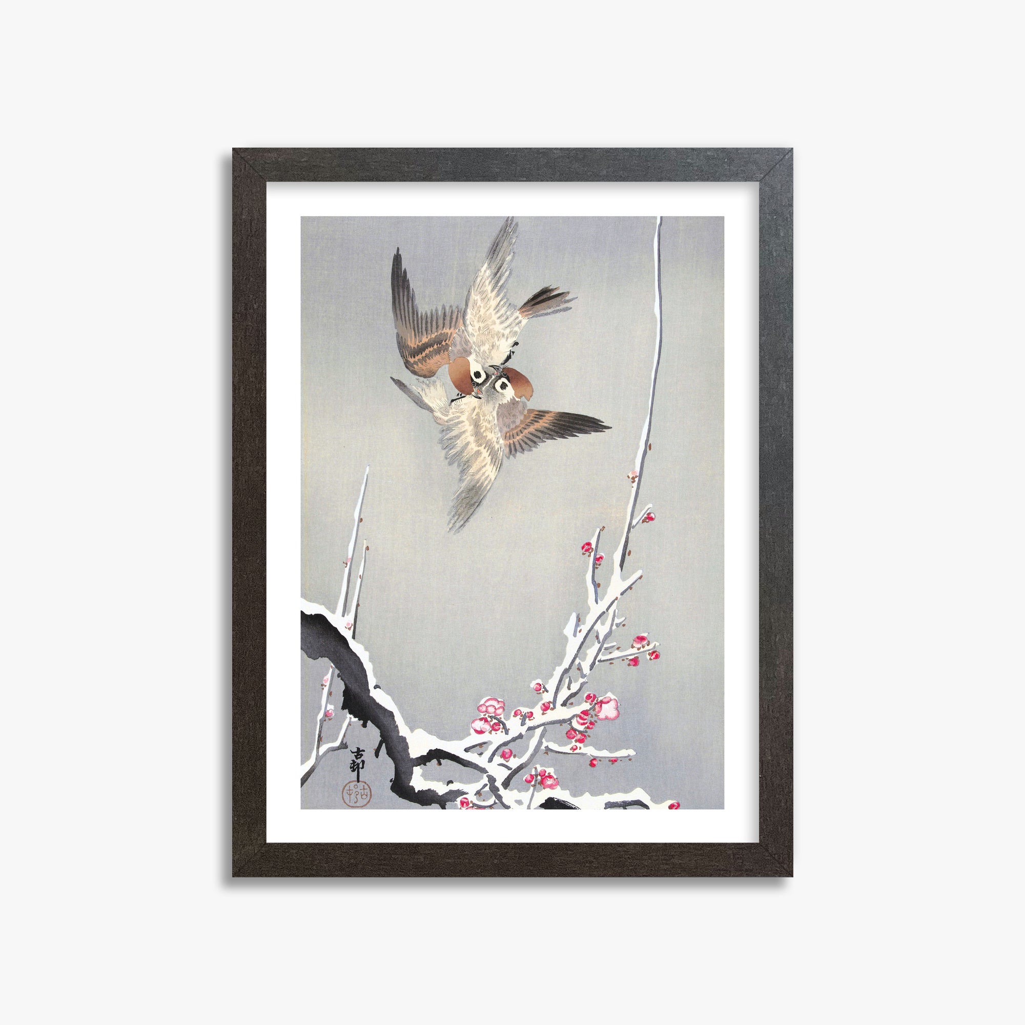 Ohara Koson: Sparrows and Snowy Plum Tree, 30x40cm Framed Art Reproduction With Espresso Frame