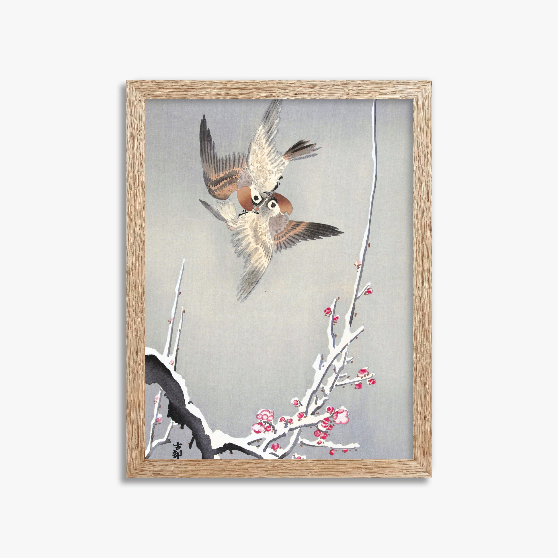 Ohara Koson: Sparrows and Snowy Plum Tree, 30x40cm Framed Art Reproduction With Raw Oak Frame