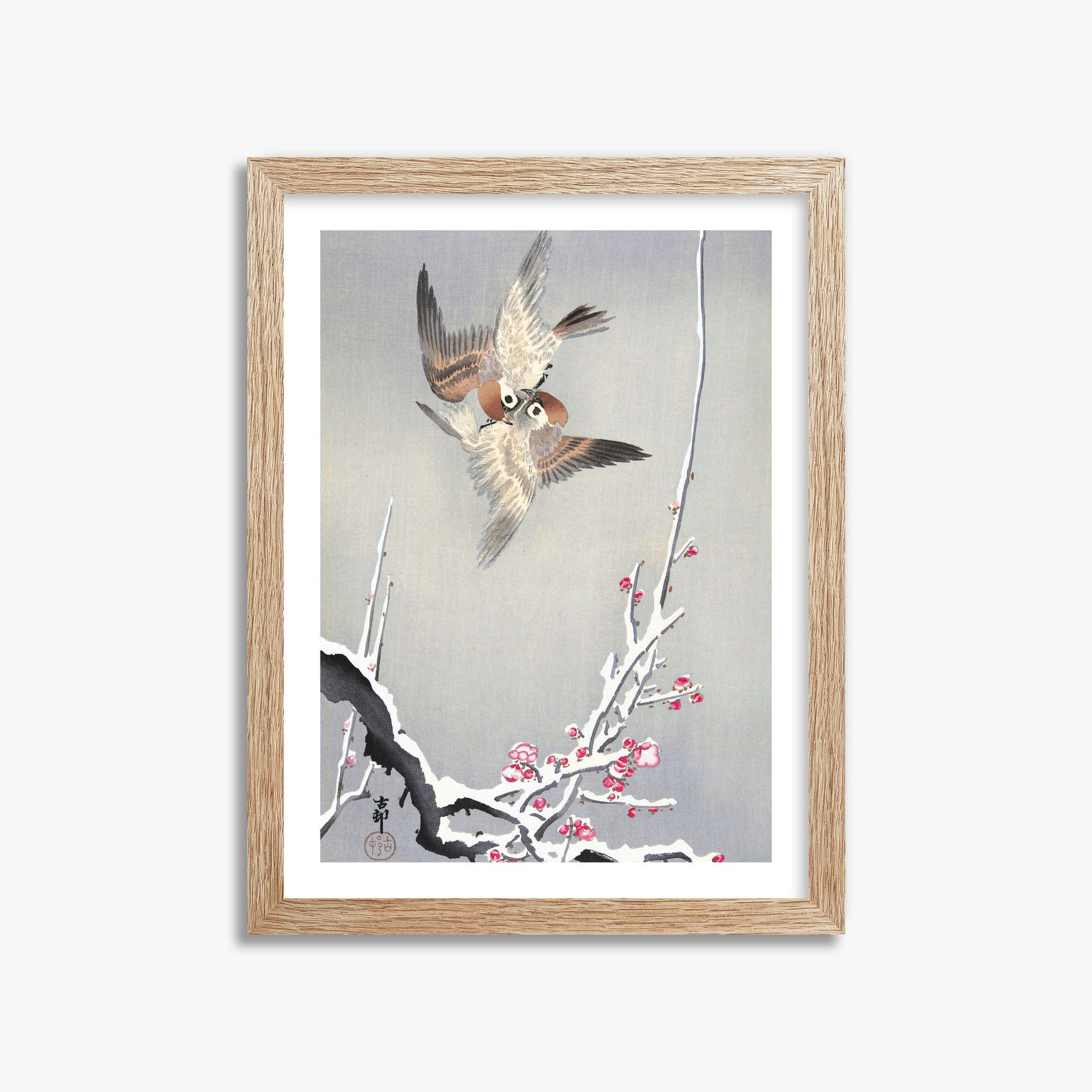 Ohara Koson: Sparrows and Snowy Plum Tree, 30x40cm Framed Art Reproduction With Raw Oak Frame