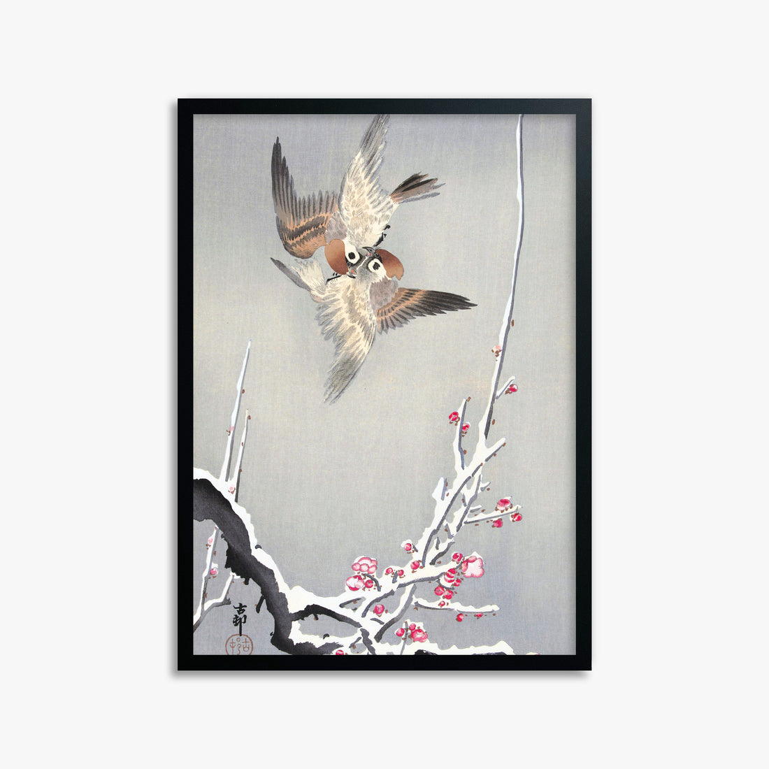 Ohara Koson: Sparrows and Snowy Plum Tree, 50x70cm Framed Art Reproduction With Black Frame