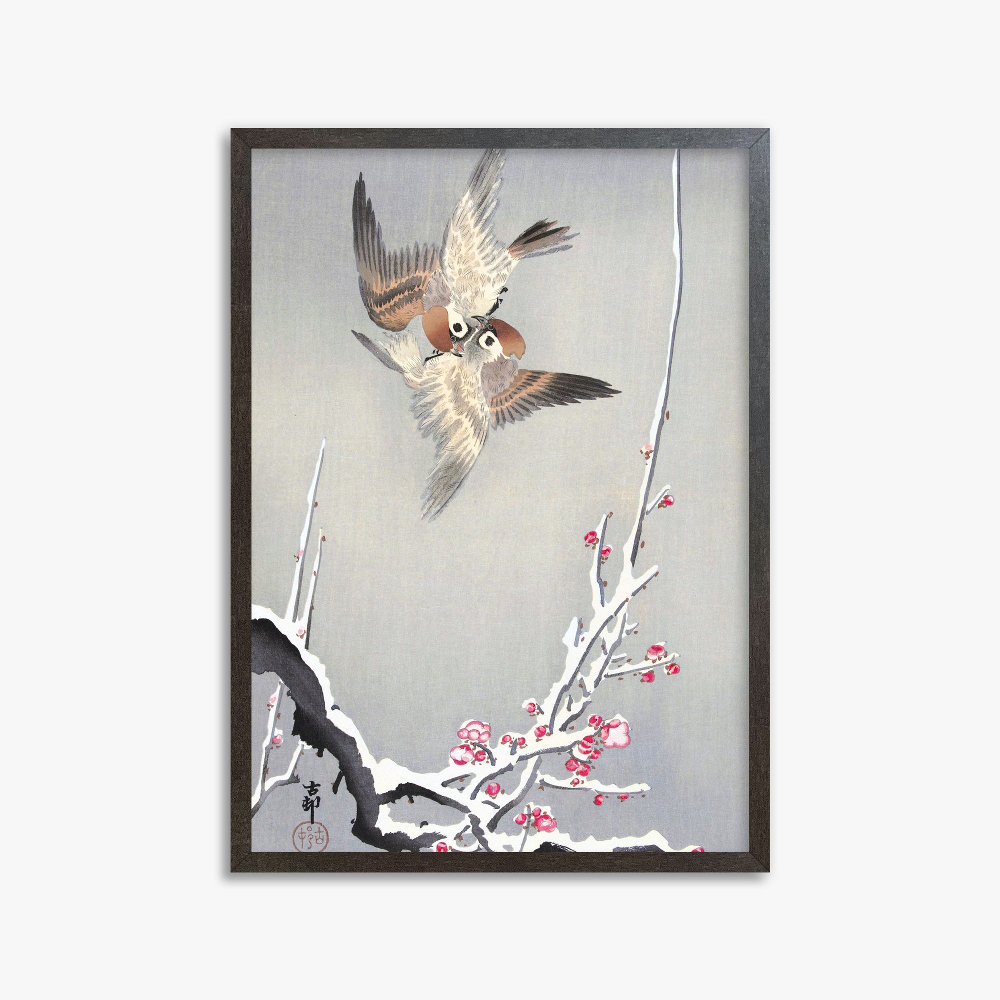 Ohara Koson: Sparrows and Snowy Plum Tree, 50x70cm Framed Art Reproduction With Espresso Frame