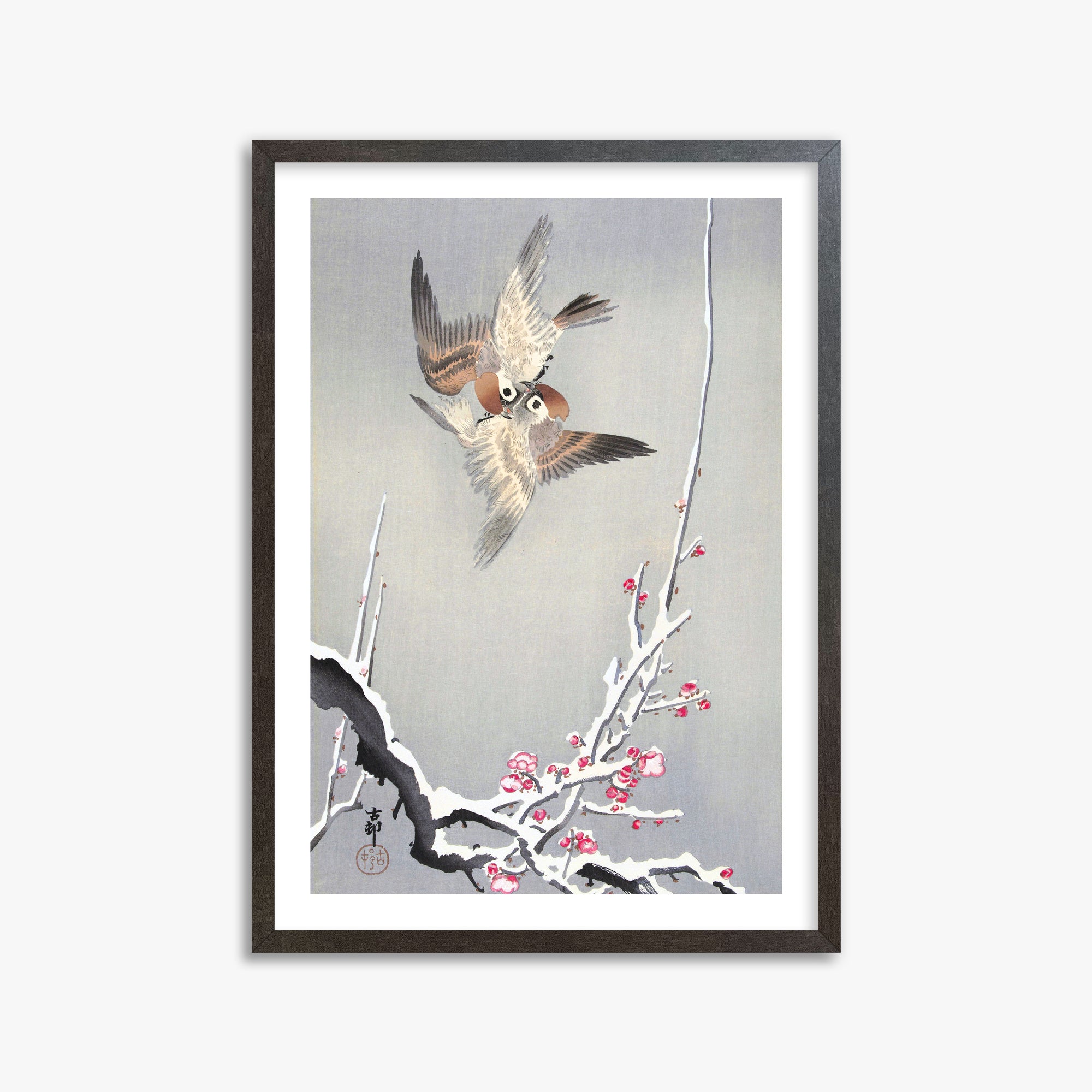 Ohara Koson: Sparrows and Snowy Plum Tree, 50x70cm Framed Art Reproduction With Espresso Frame