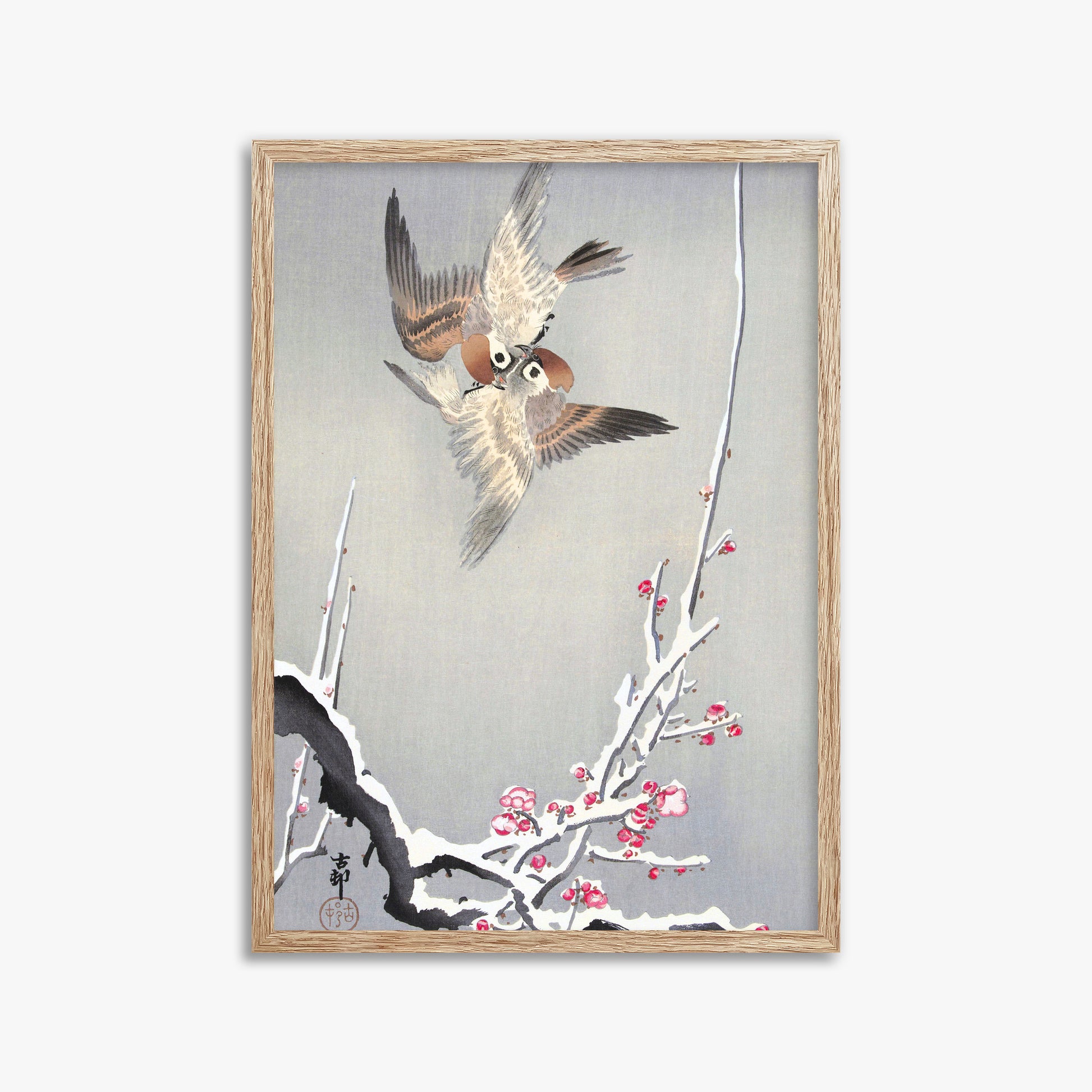 Ohara Koson: Sparrows and Snowy Plum Tree, 50x70cm Framed Art Reproduction With Raw Oak Frame