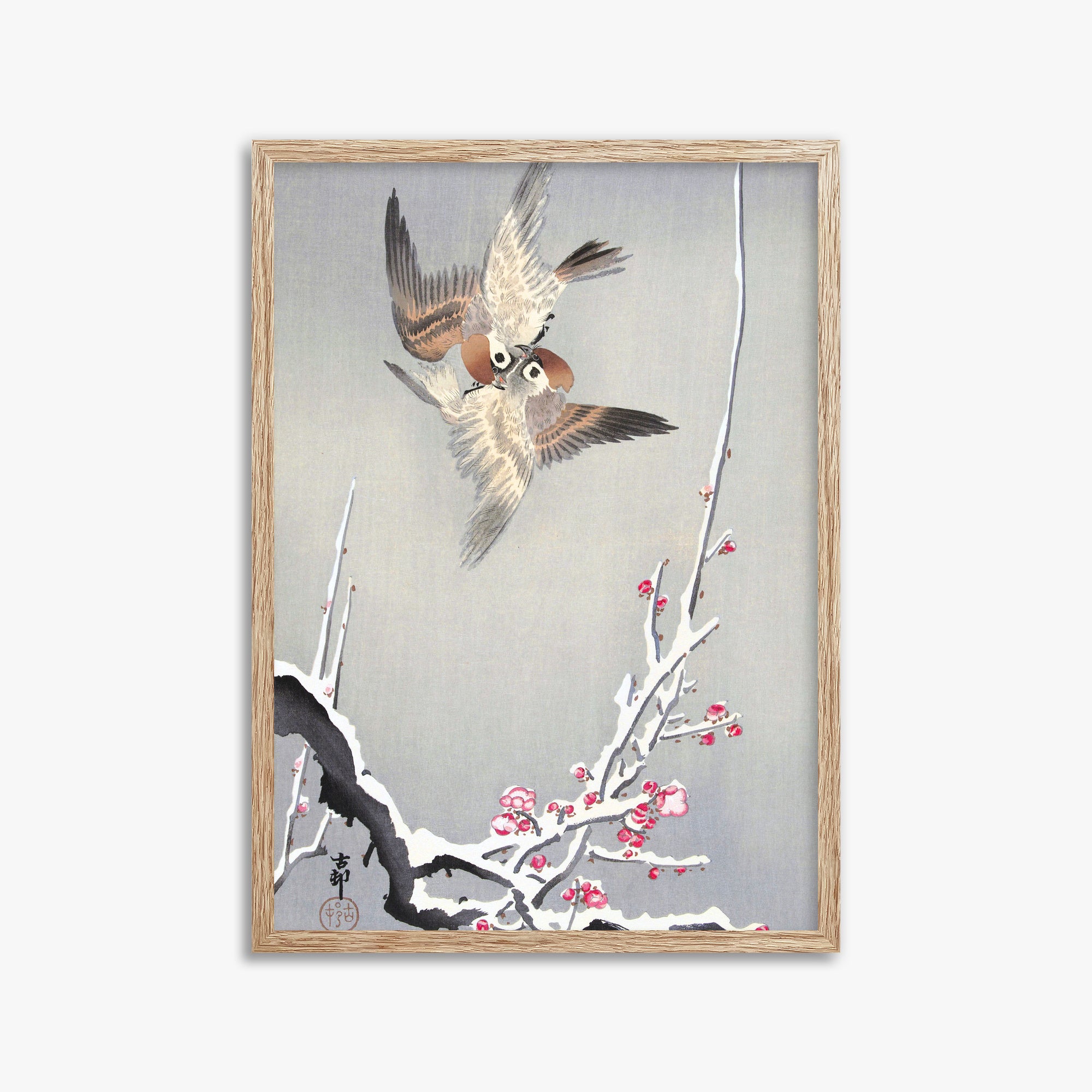 Ohara Koson: Sparrows and Snowy Plum Tree, 50x70cm Framed Art Reproduction With Raw Oak Frame