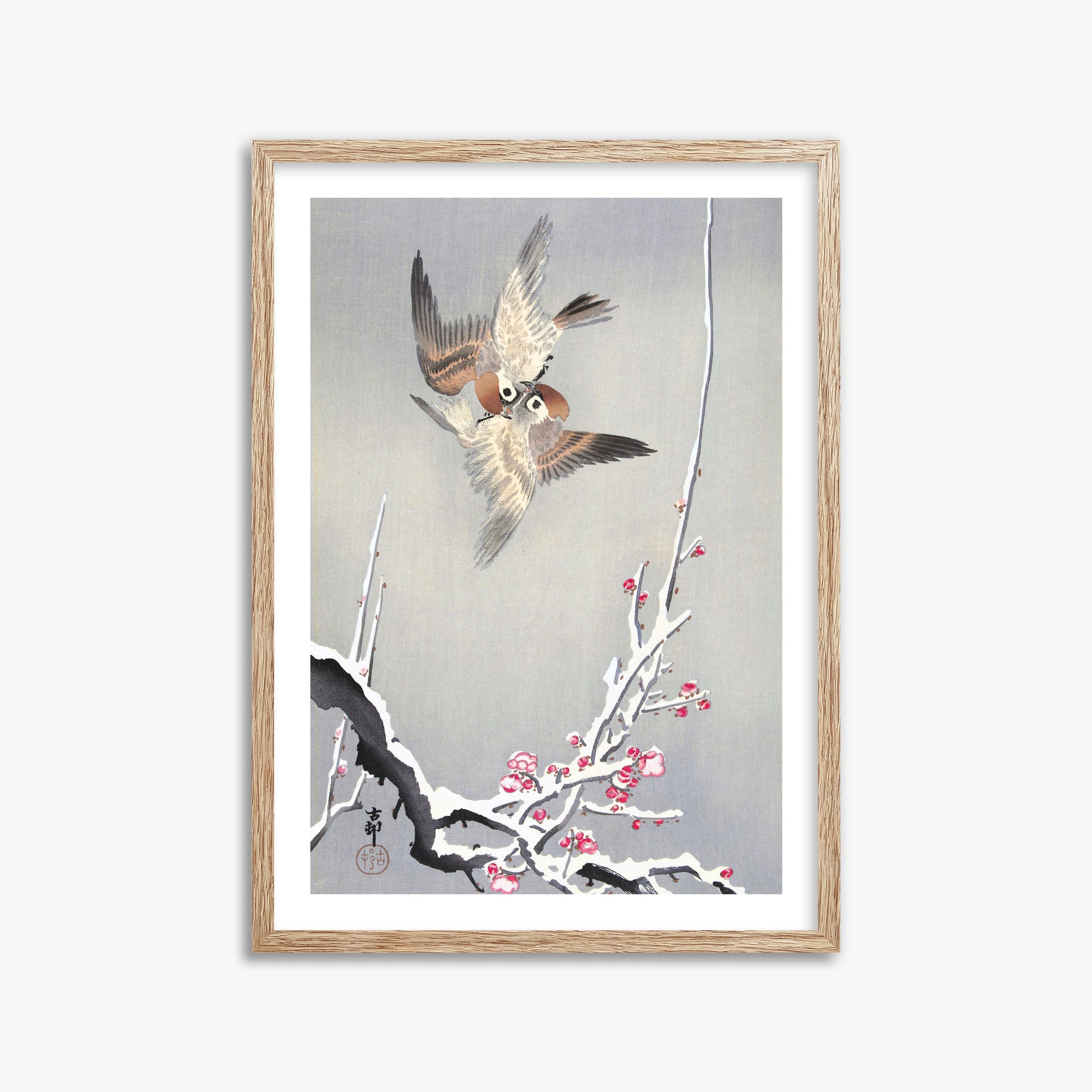 Ohara Koson: Sparrows and Snowy Plum Tree, 50x70cm Framed Art Reproduction With Raw Oak Frame