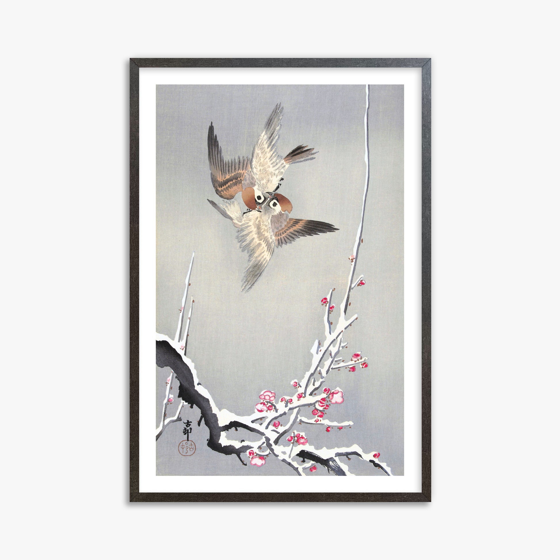 Ohara Koson: Sparrows and Snowy Plum Tree, 61x91cm Framed Art Reproduction With Espresso Frame