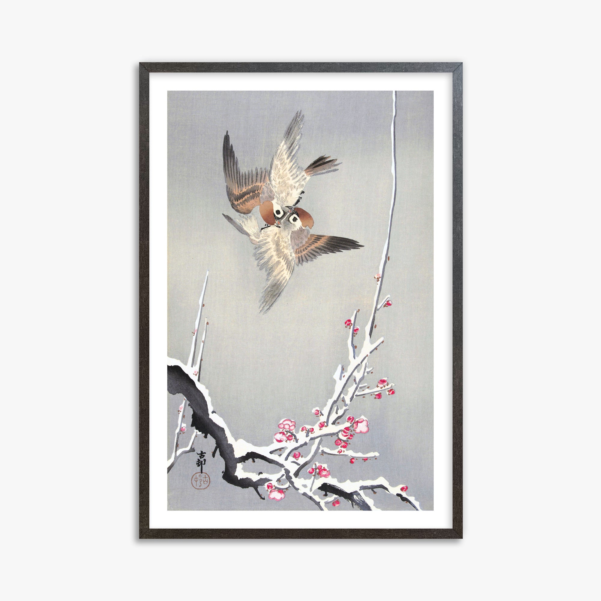 Ohara Koson: Sparrows and Snowy Plum Tree, 61x91cm Framed Art Reproduction With Espresso Frame